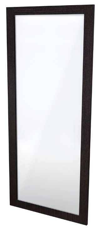 mirror.PNG