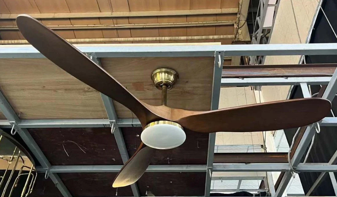 ceiling fans.jpg