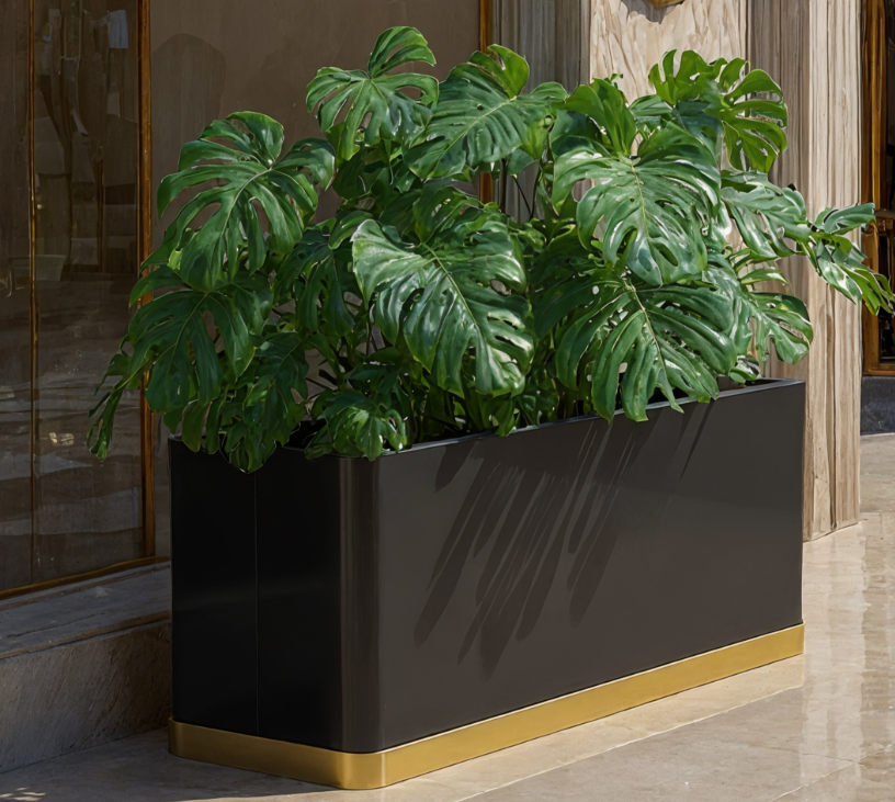 eliteplanters.PNG