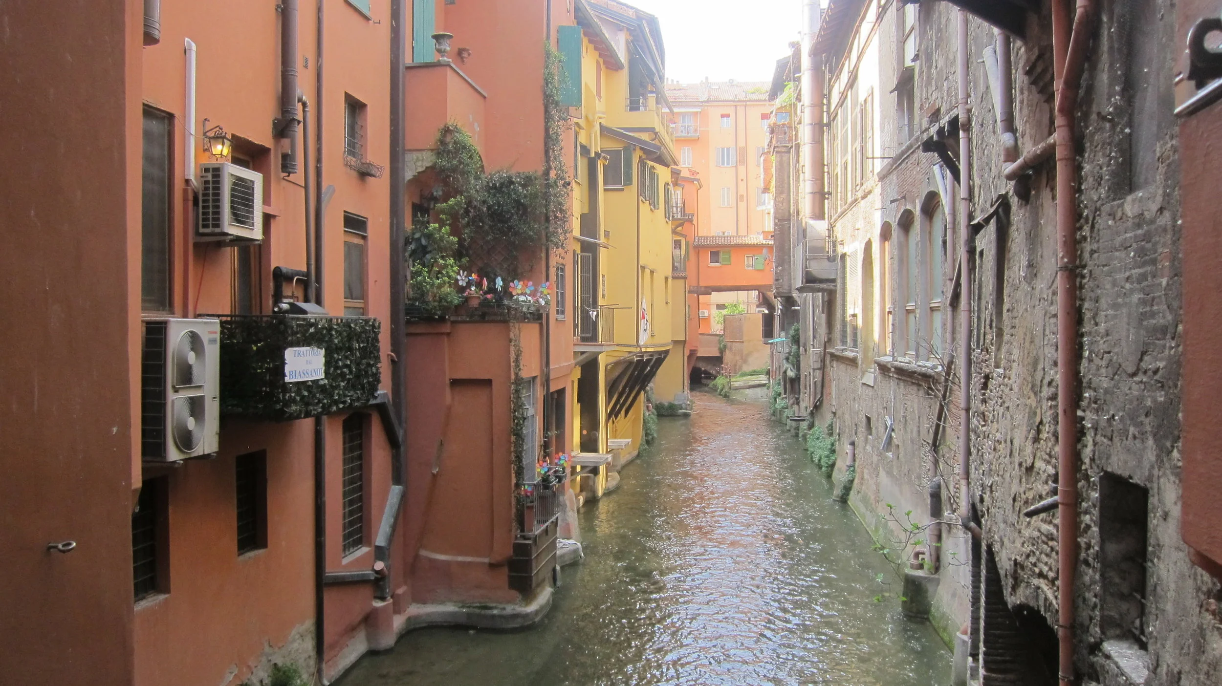 An Illustrator's Guide to Bologna Book Fair