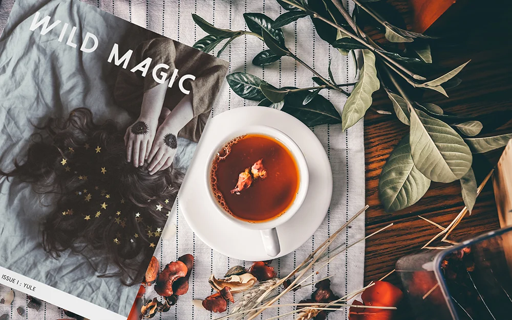 wildmagic_magazine_SM.jpg