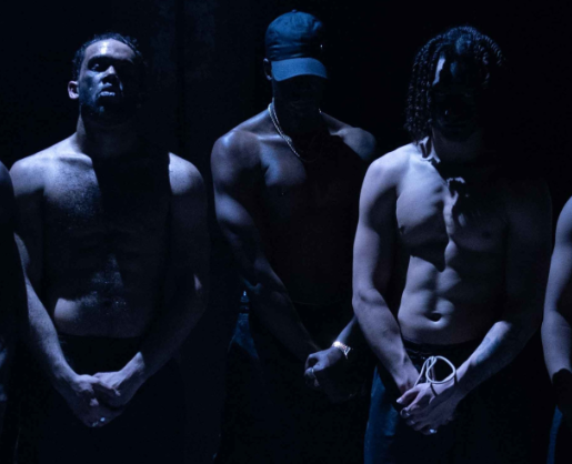 Traplord at Tbilisi International Theatre Festival
