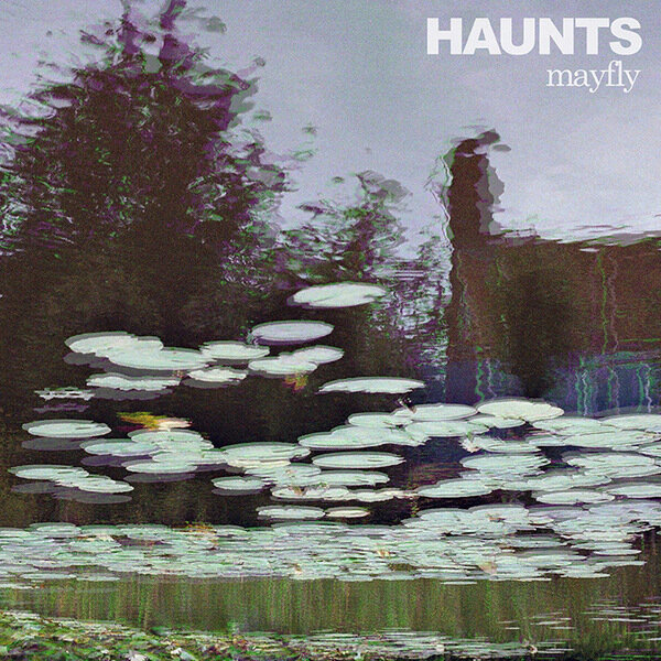 Haunts - Mayfly