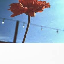 Wynona - Slide Away (Feat. Theo Warrington)