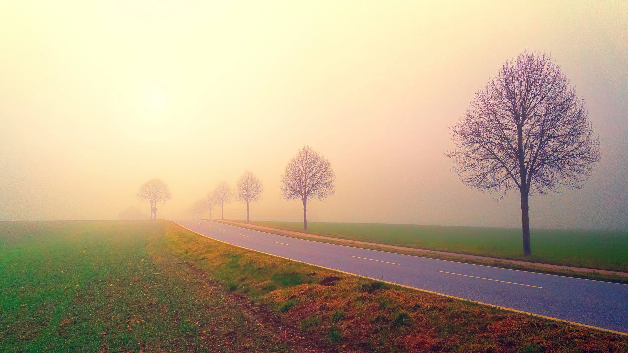 calm-countryside-environment-1165991.jpg