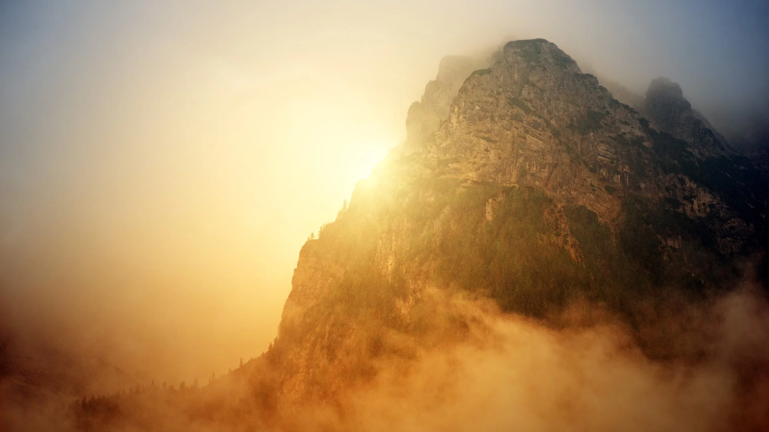 dusk-fog-foggy-1133492.jpg