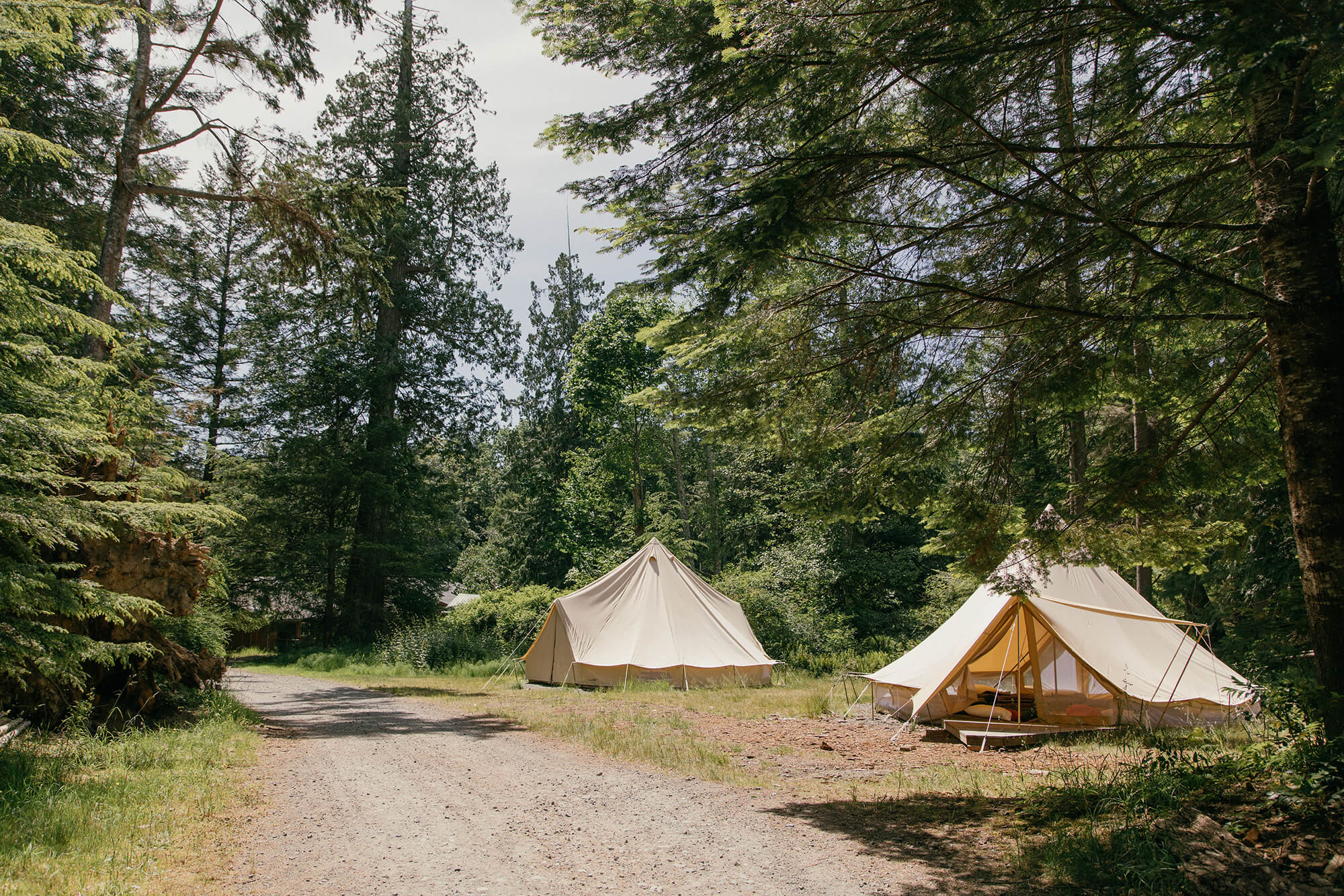 Accom_Sibley_4.jpg