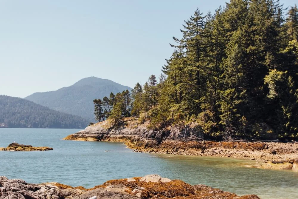 Fircom AGM - April 4th