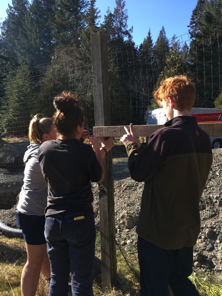 Gappers take on the Farm