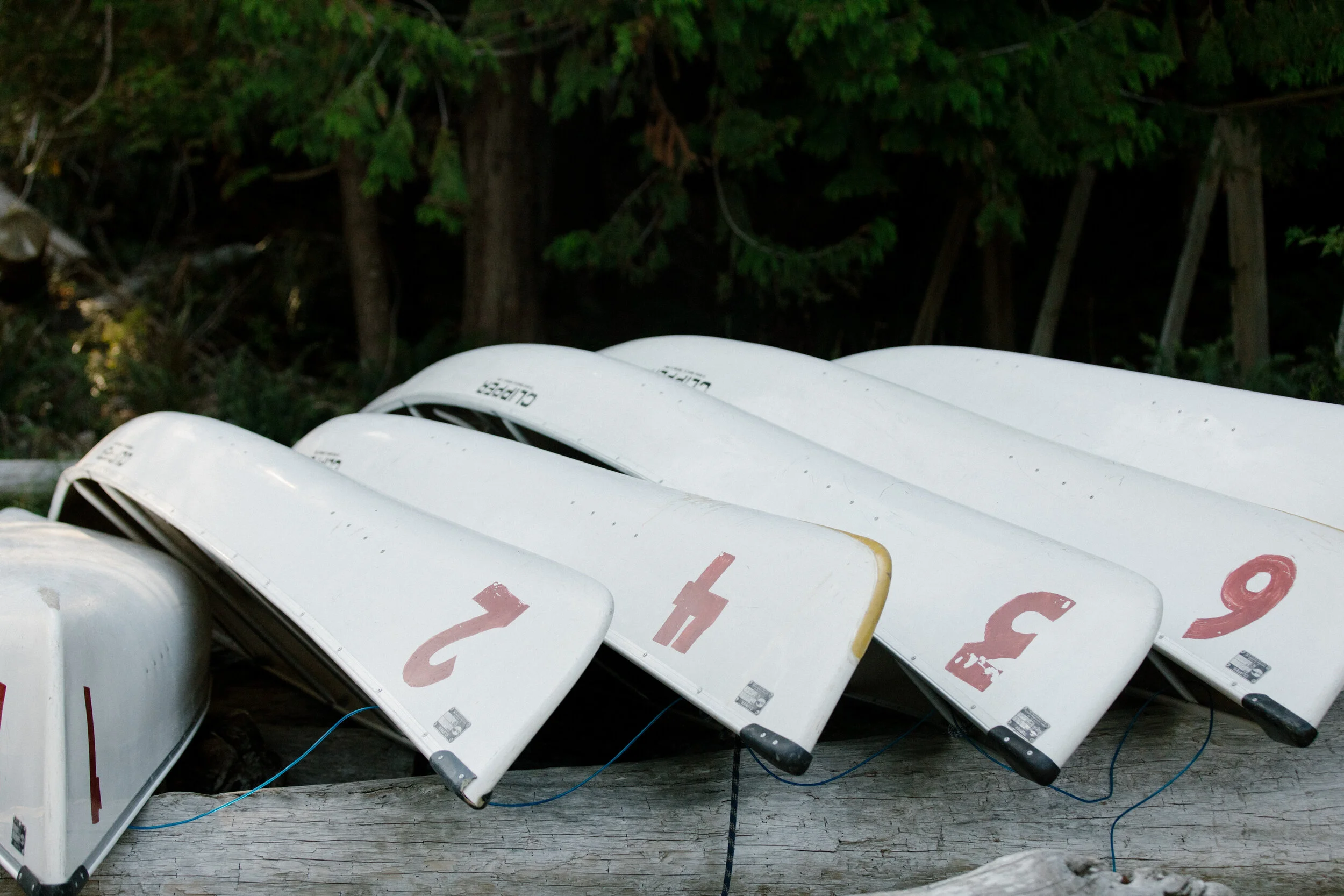 Fircom's COVID-19 Notice #2