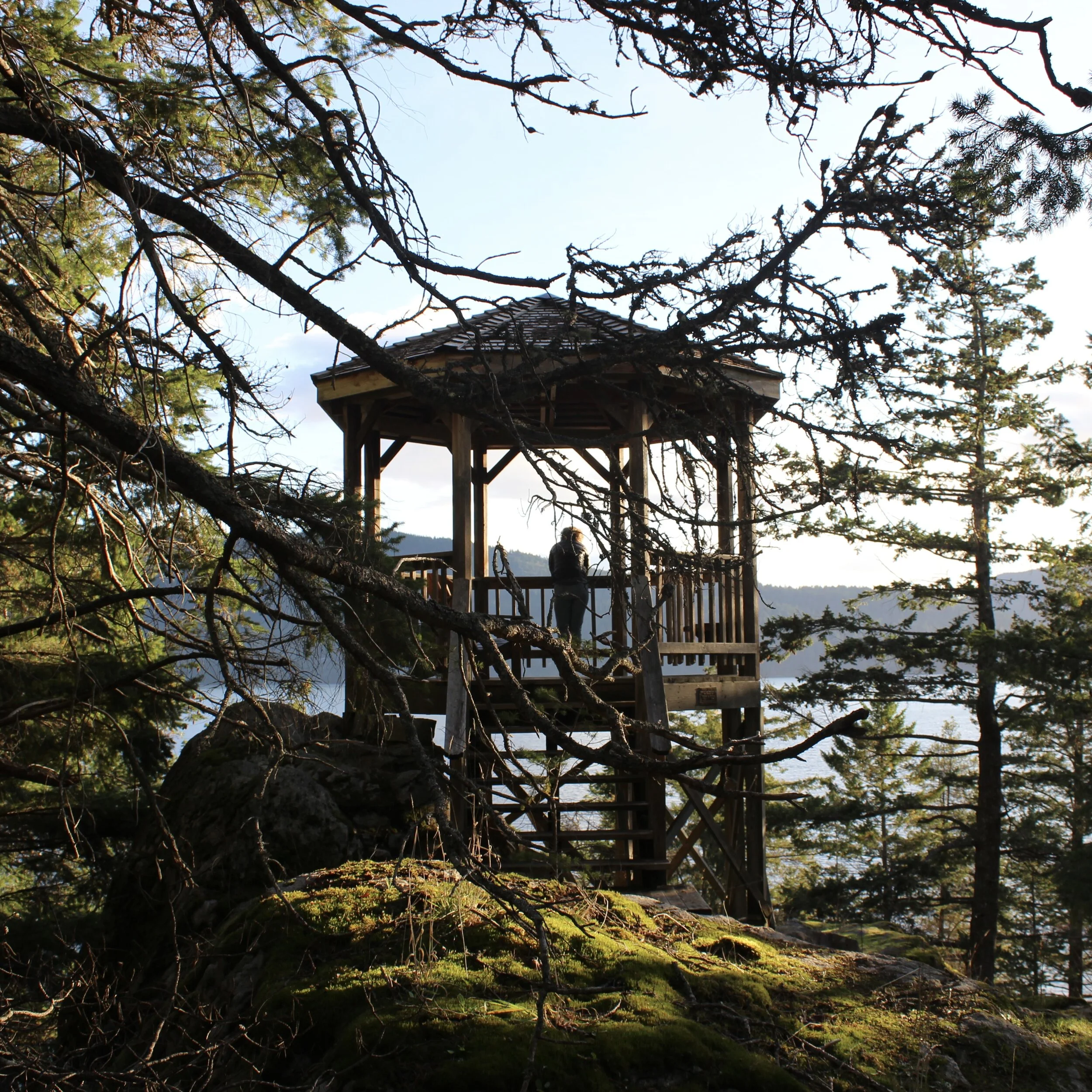 Reflecting on 2020....