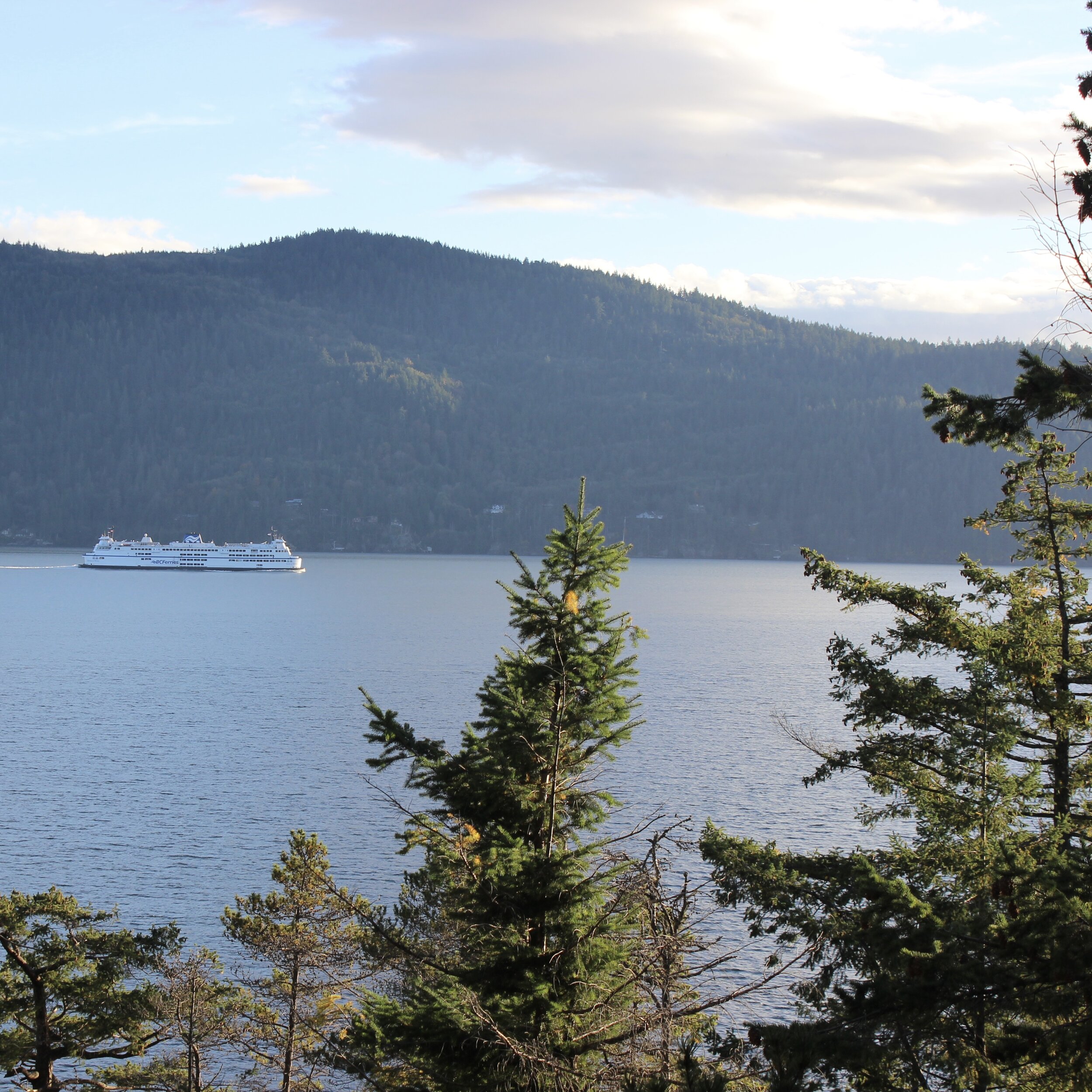 2021 Summer Camp Update