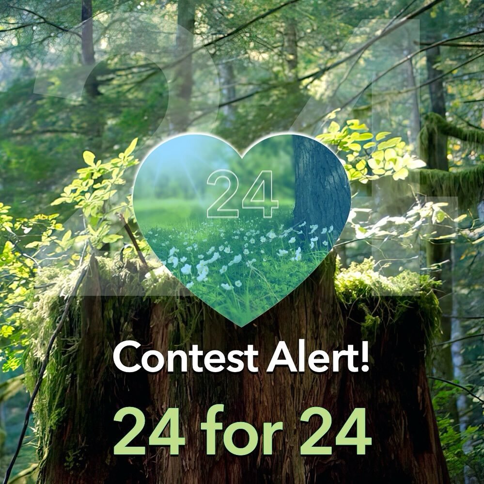 Donate $24 for a chance to win $224 Camp Credit! 

Every $24 donation gives one entry into the draw and every donation makes Camp Fircom even better! Enter as many times as you feel inspired! 
- Donate $24 = 1 chance to win
- Donate $48 = 2 chances t