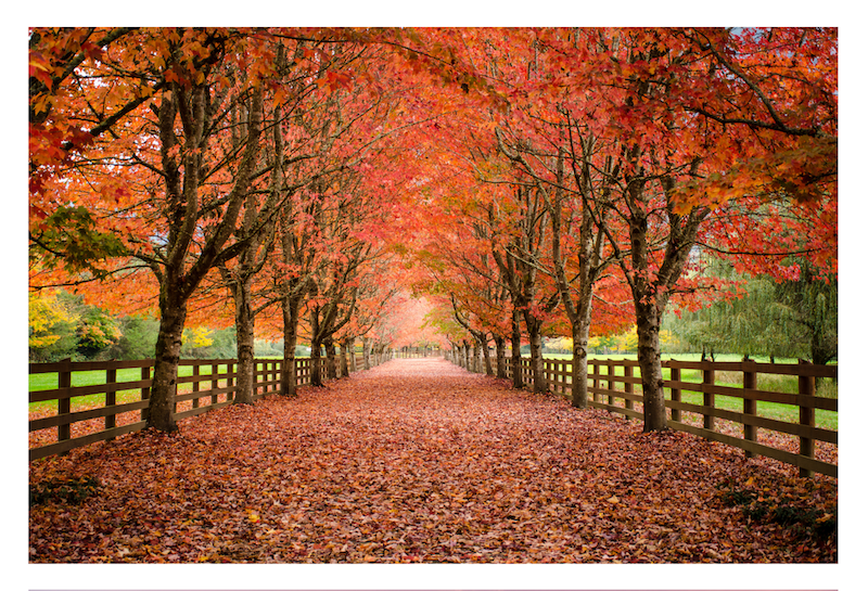 Moving Together in the Ways of the People - FALL