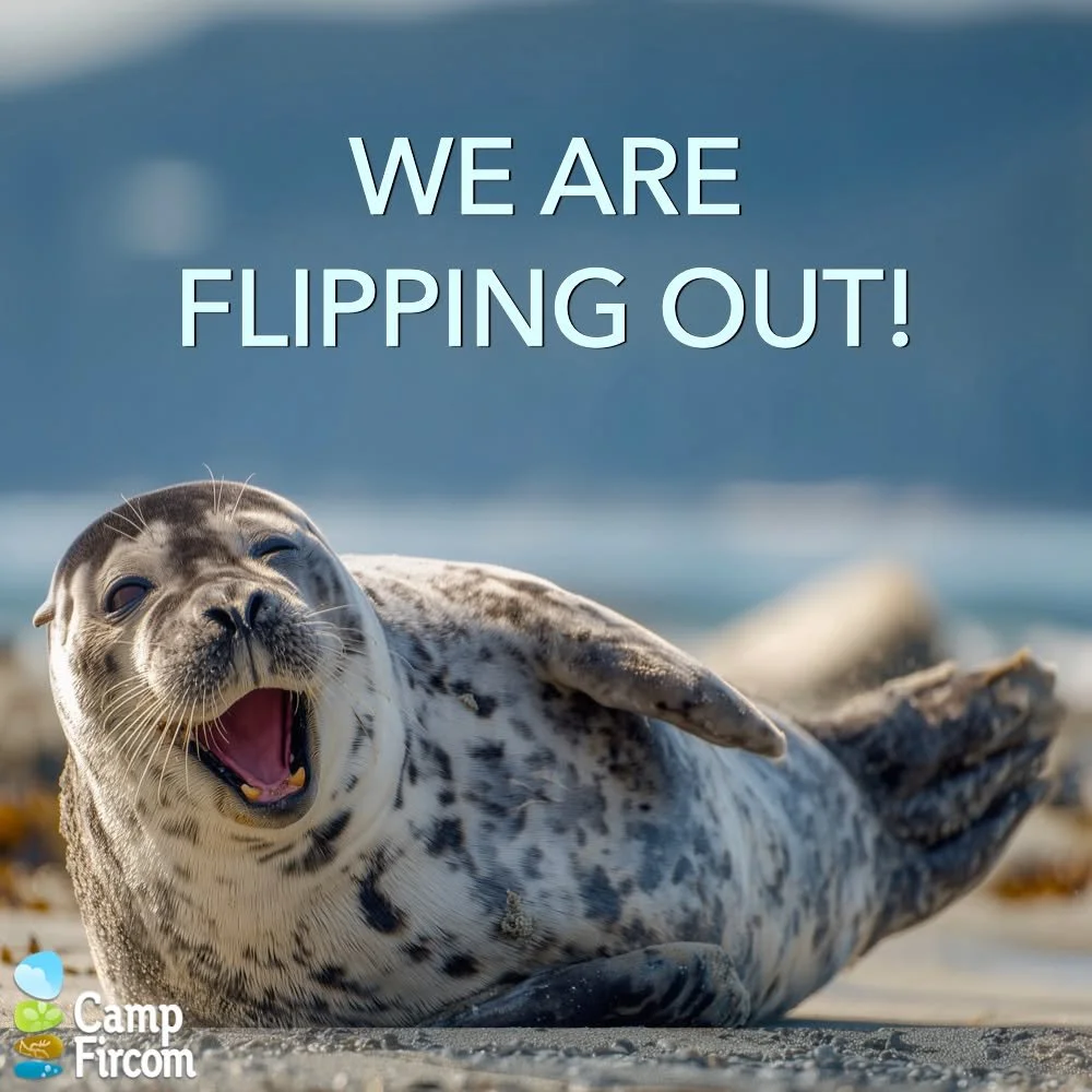🎉WOW! 🎉
We are flipping out with JOY! 
We raised $13,321 in our 2025 Annual Online Auction!!!! 🎉 
That's our BEST EVER! 
Soooo many campers are going to have the experience of Fircom next summer thanks to all of you that were involved! 
We had ove