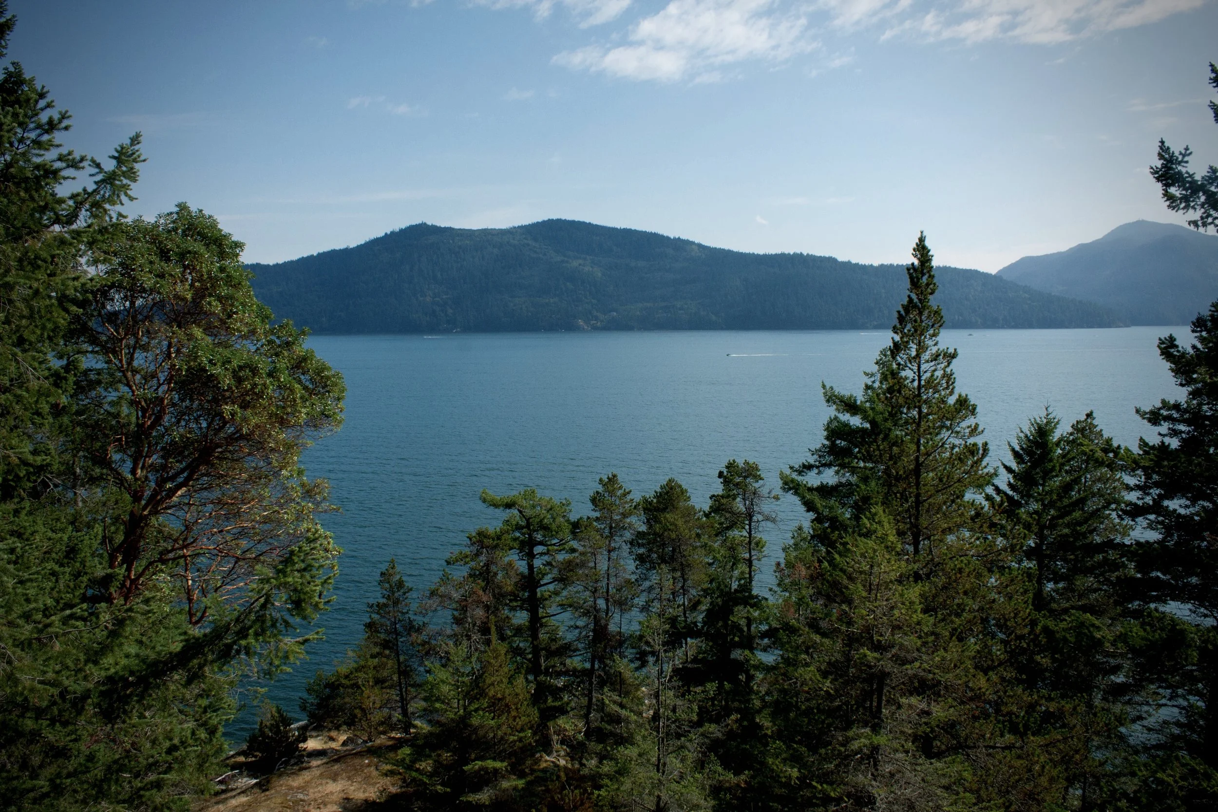 2026 Summer Camp Survey