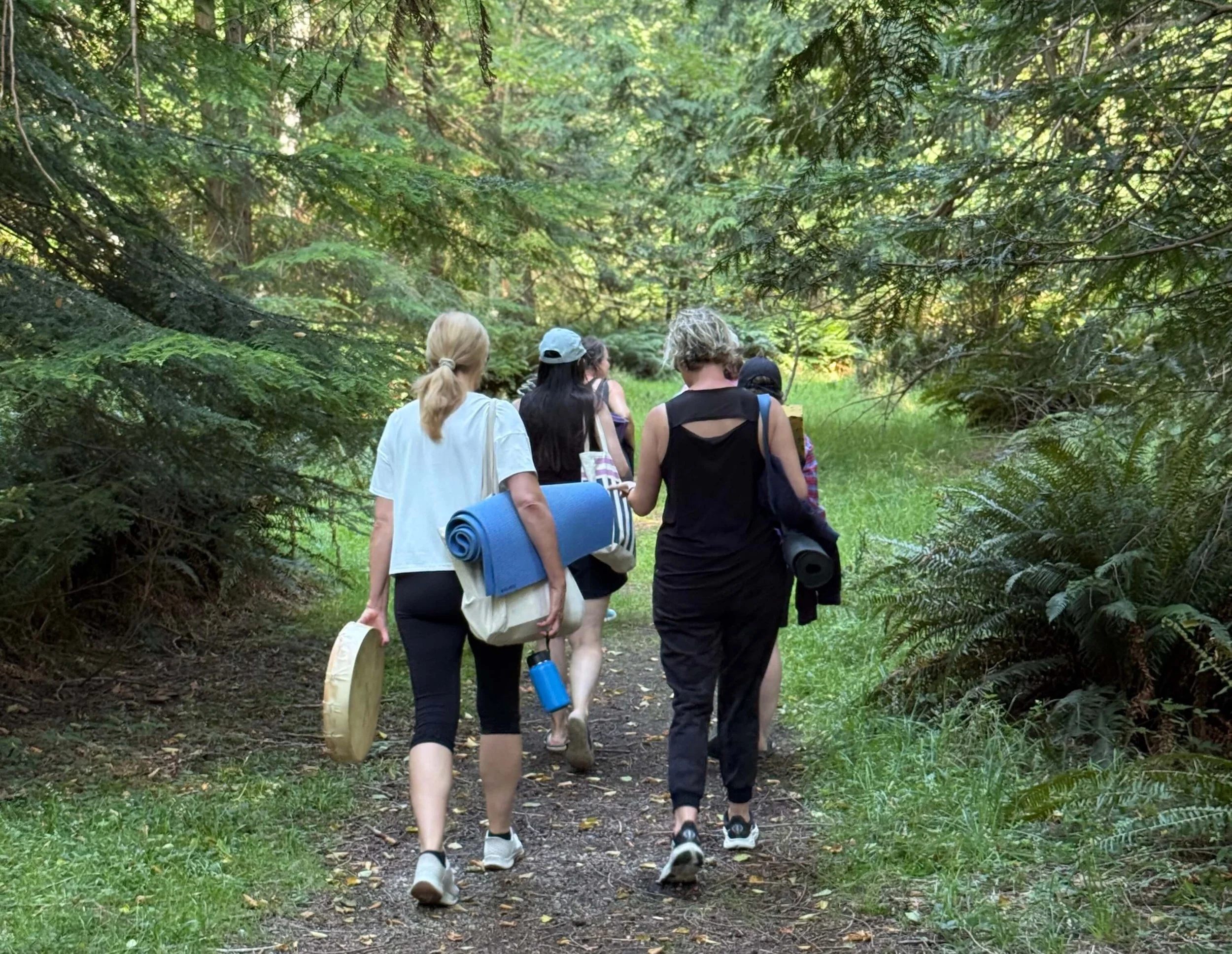 2026 MK1_Into the Forest_tinifiied.jpg