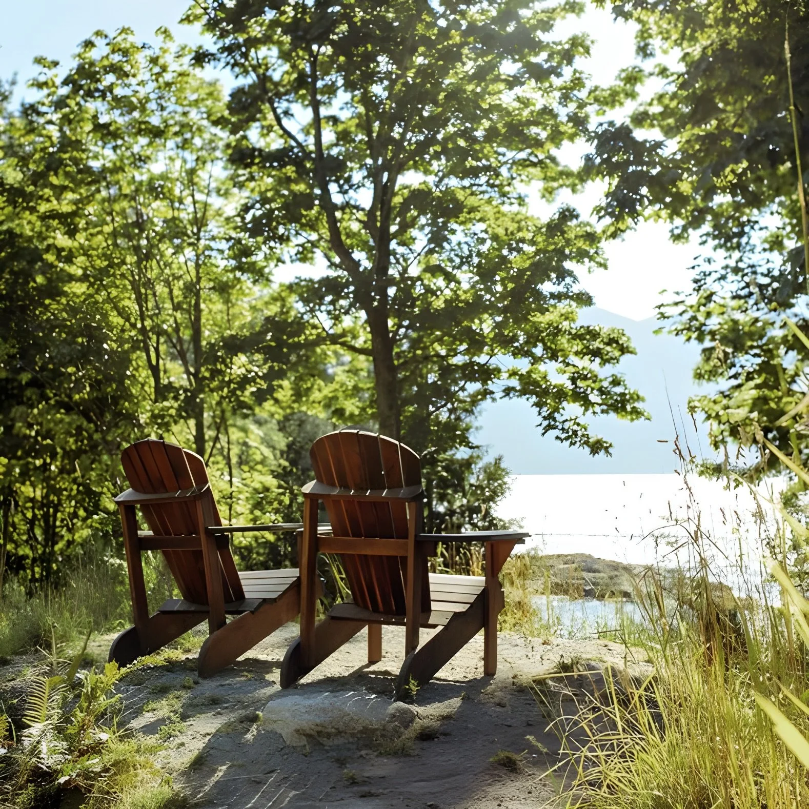 Fircom View Chairs_upscaled.jpg