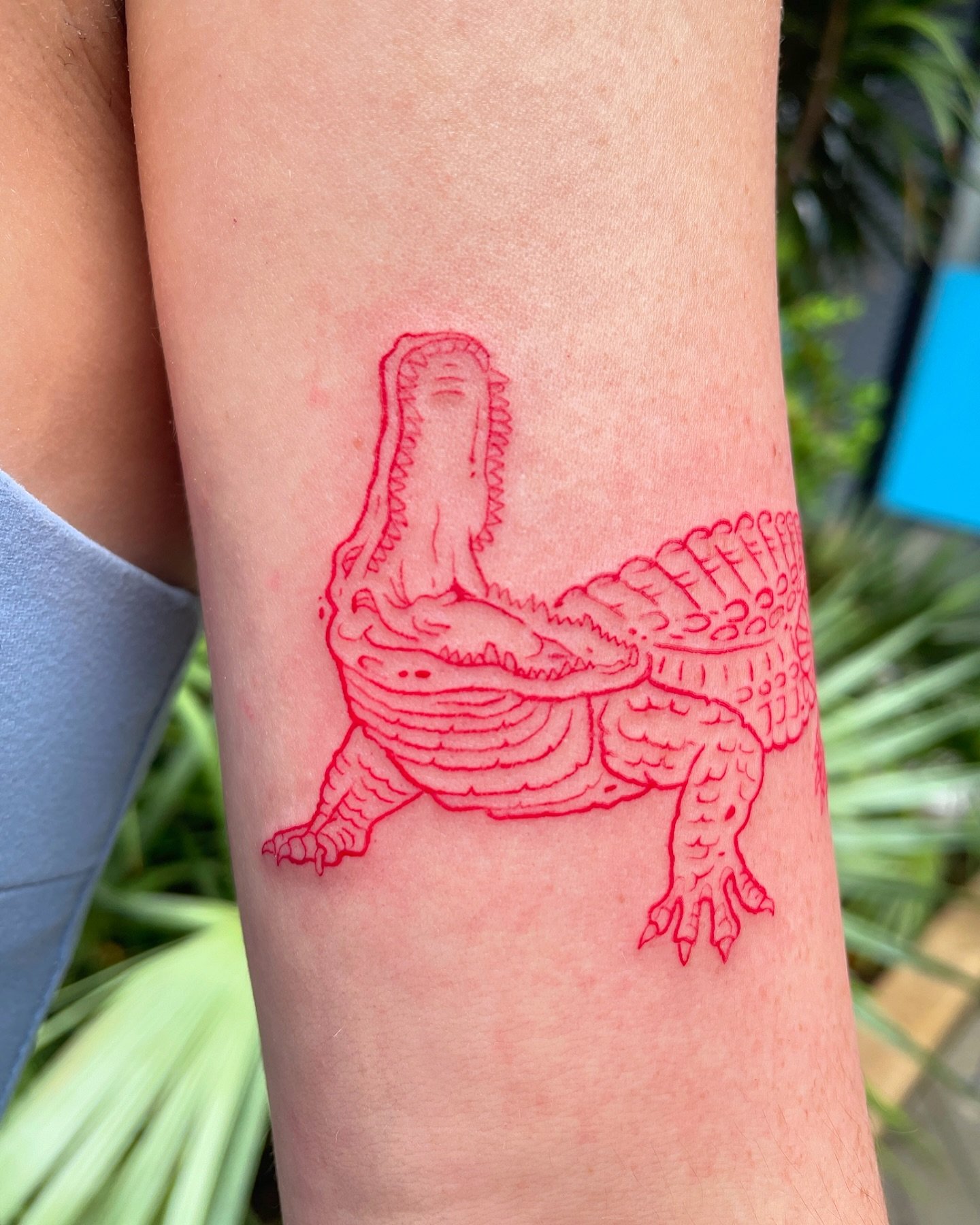 #floridaman 🐊

⚡️ink by @liquidbreadtattoo 

Link in bio to book your next tat!

DM us for quotes🌊

#alligatortattoo #gatortattoo #floridatattoo #miamitattooartist #miamitattoos #miamitattooparlor #miamitattooshop #wynwood #wynwoodartdistrict #only