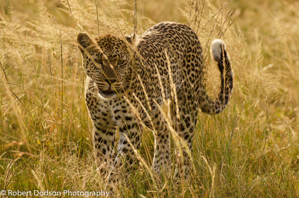 Africa 7 edited 156.JPG