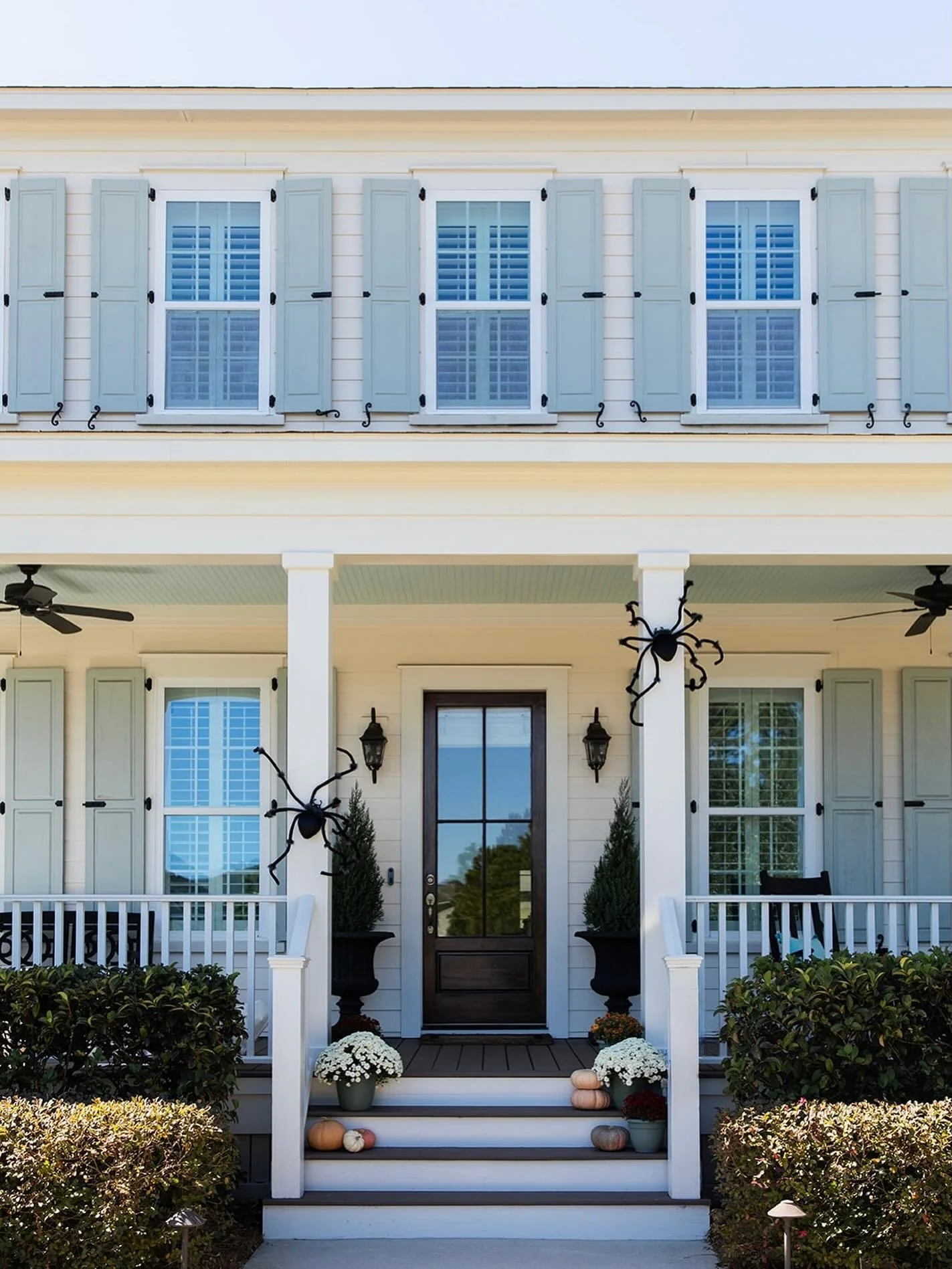 Happy October 🎃🕷️