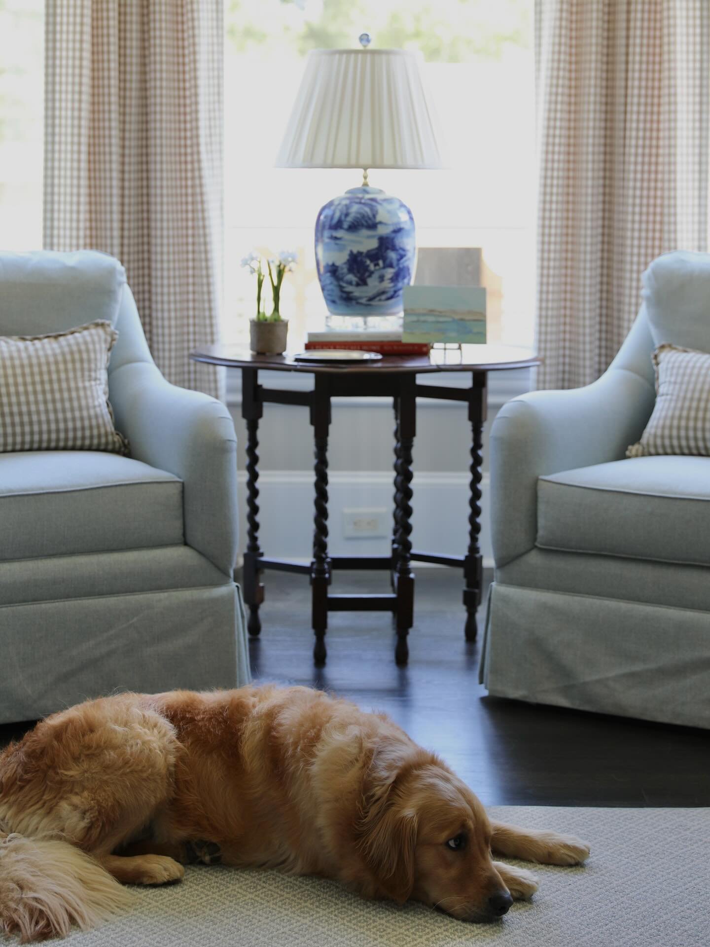 Too much rain, not enough fetch ☔️
&bull;
&bull;
#athensdesign #interiordesigner #dogsofinstagram #designerdogs #pupsofinstagram #atlantadesign #primarybedroom #houseandhome #designinspiration