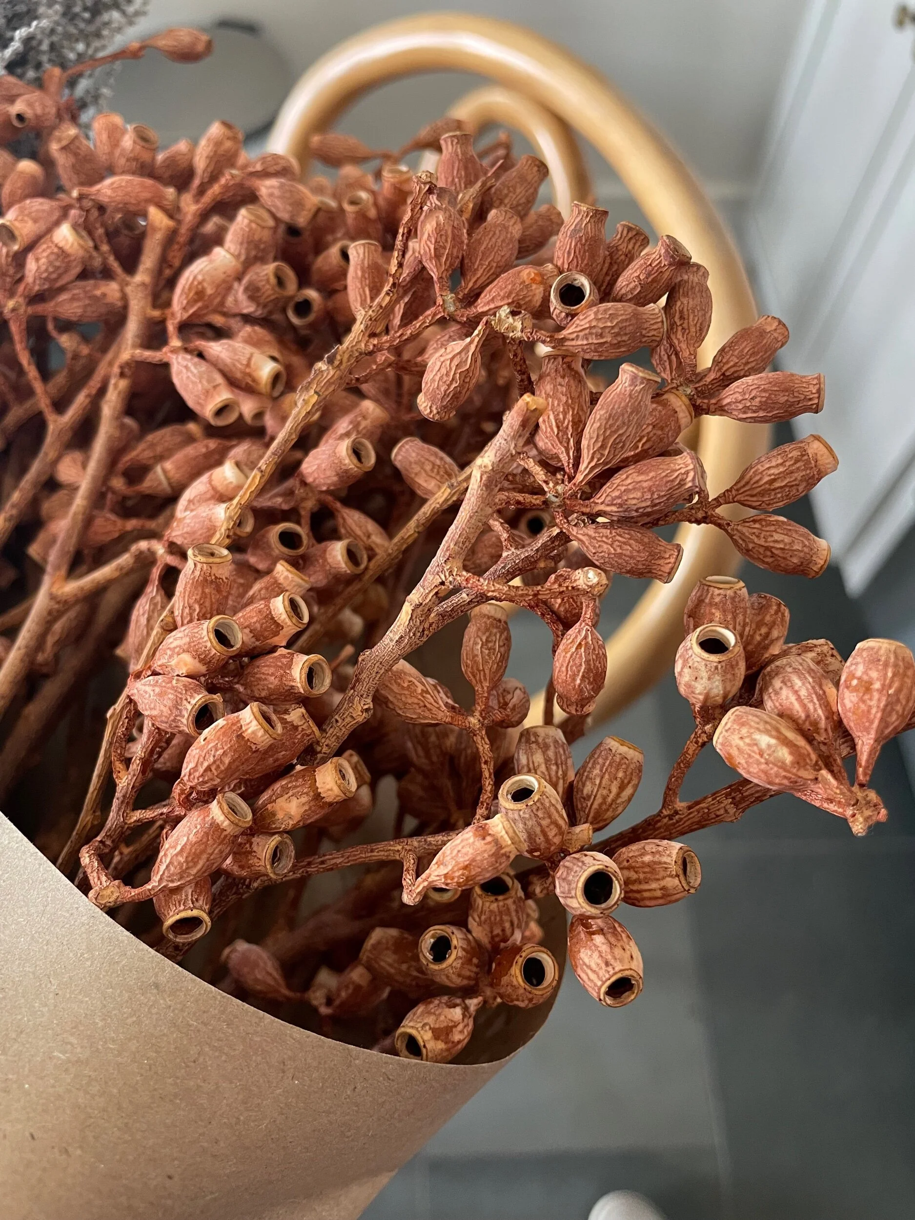 935E2E65-F230-4698-9E32-578D2814987B