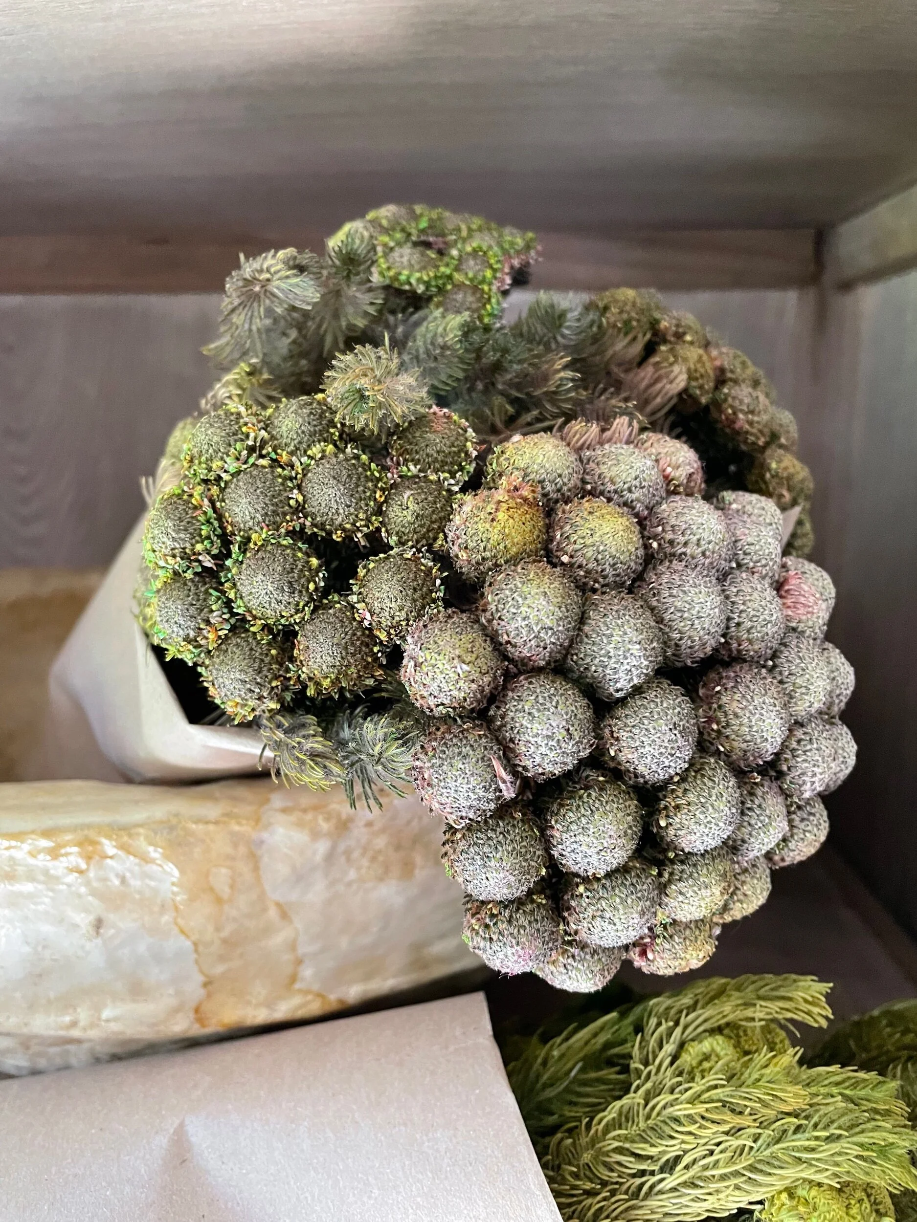 322F1E43-D047-4A24-AC04-E8702461C2F6