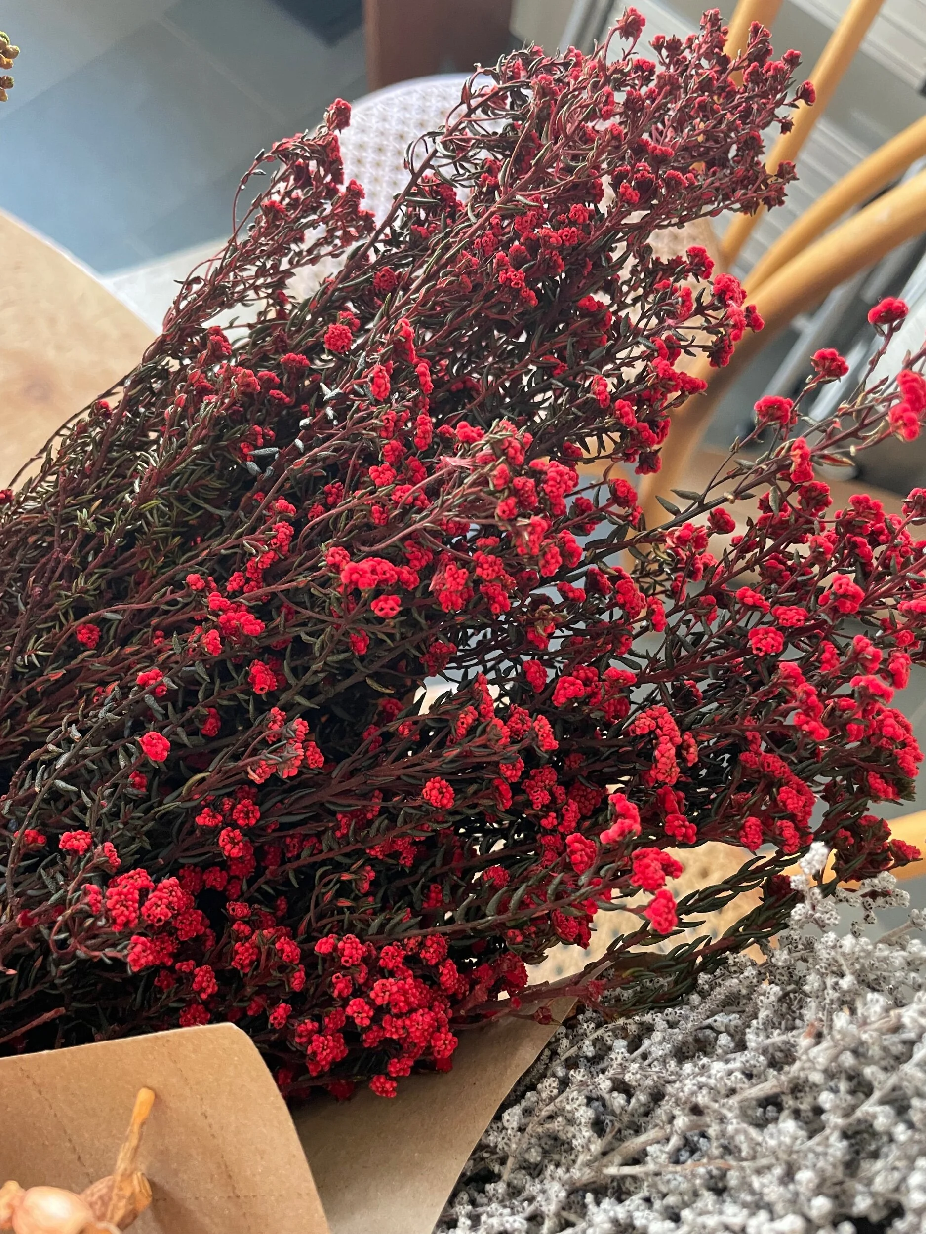 2DB07DF1-6B14-4A73-A15F-EF99F890A274