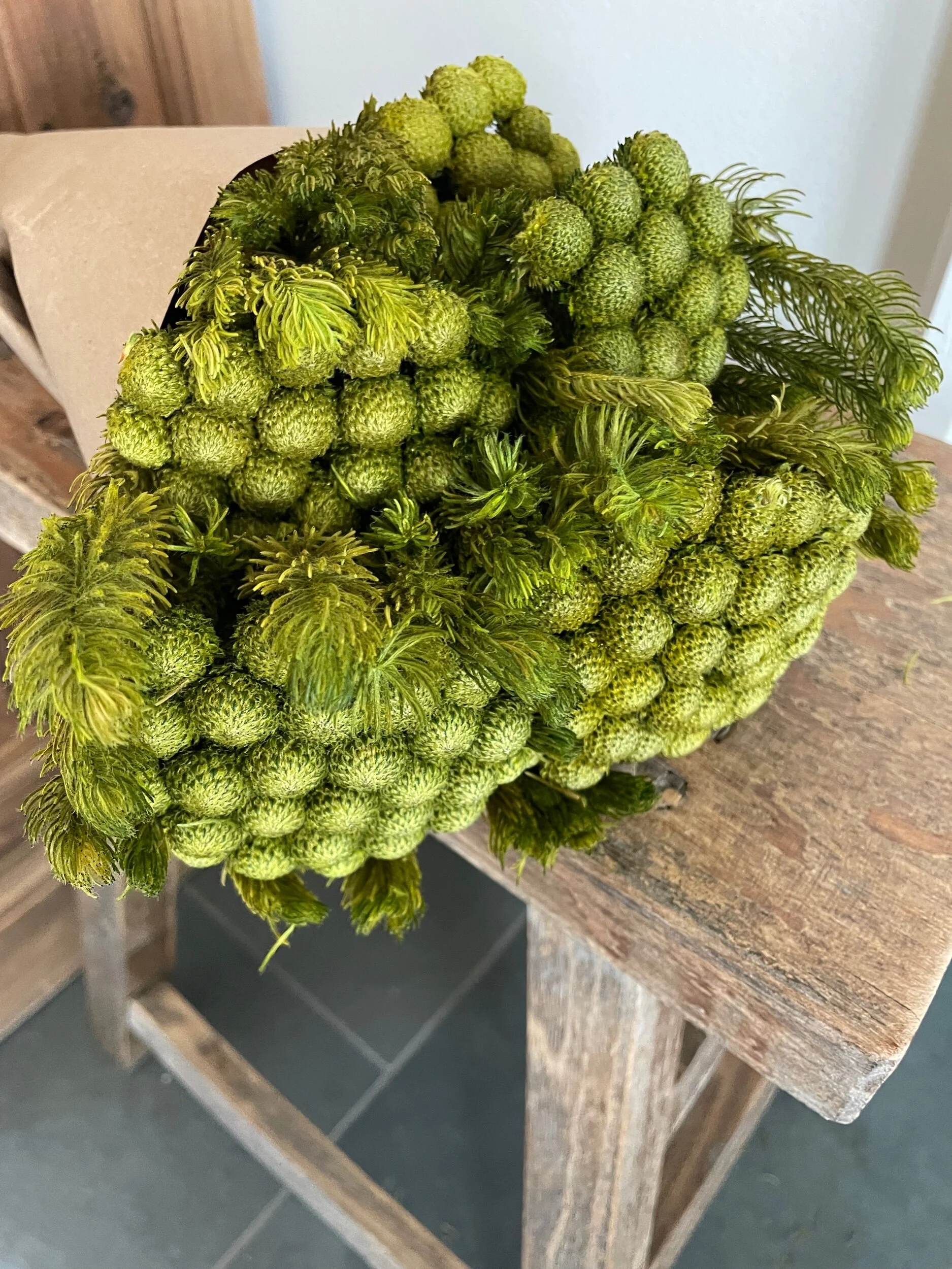 CA28C687-D16D-41D4-8F10-1C0D8BB7EC0F