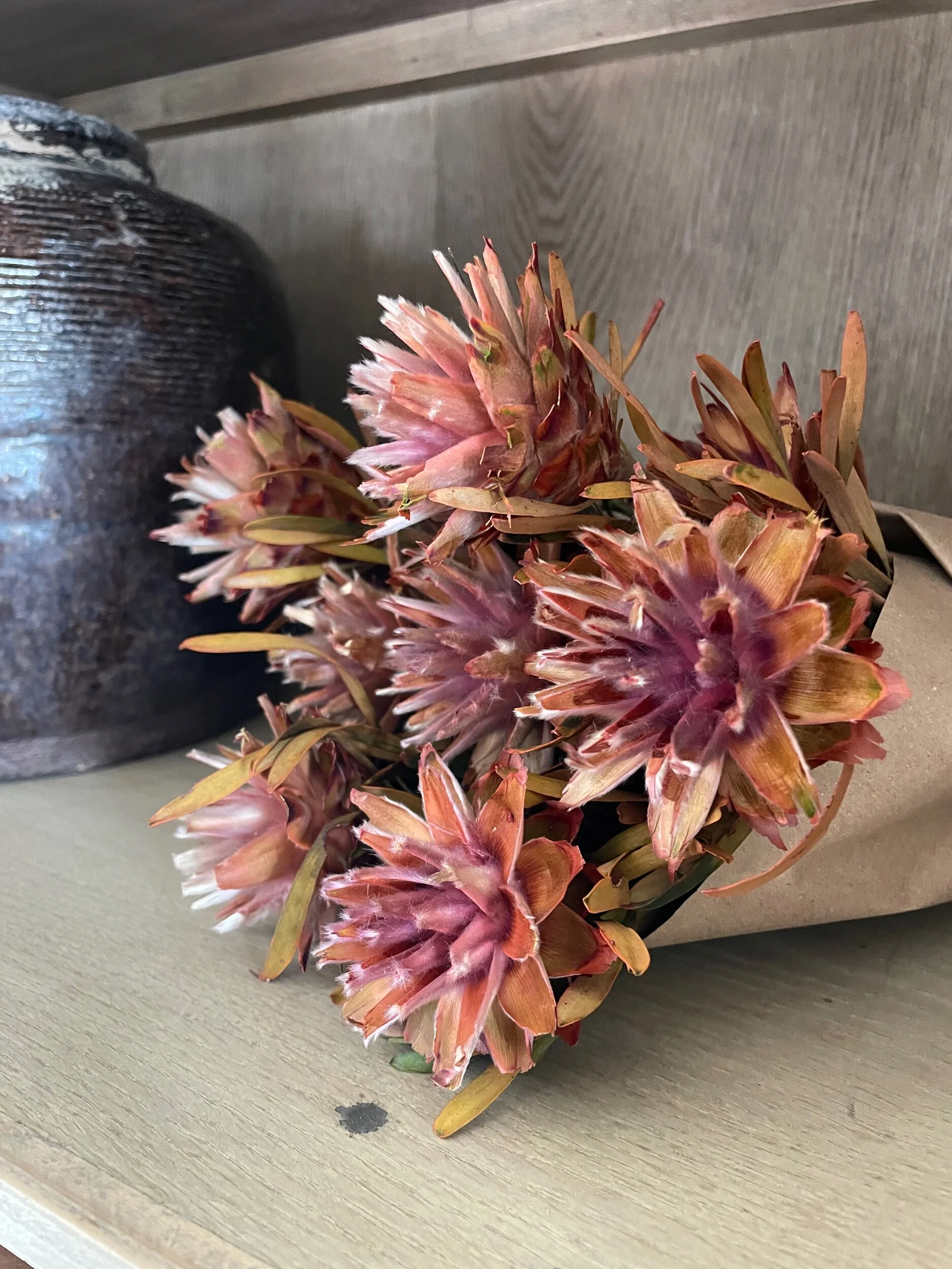 4B197AAA-C531-49EB-9424-671300A14097