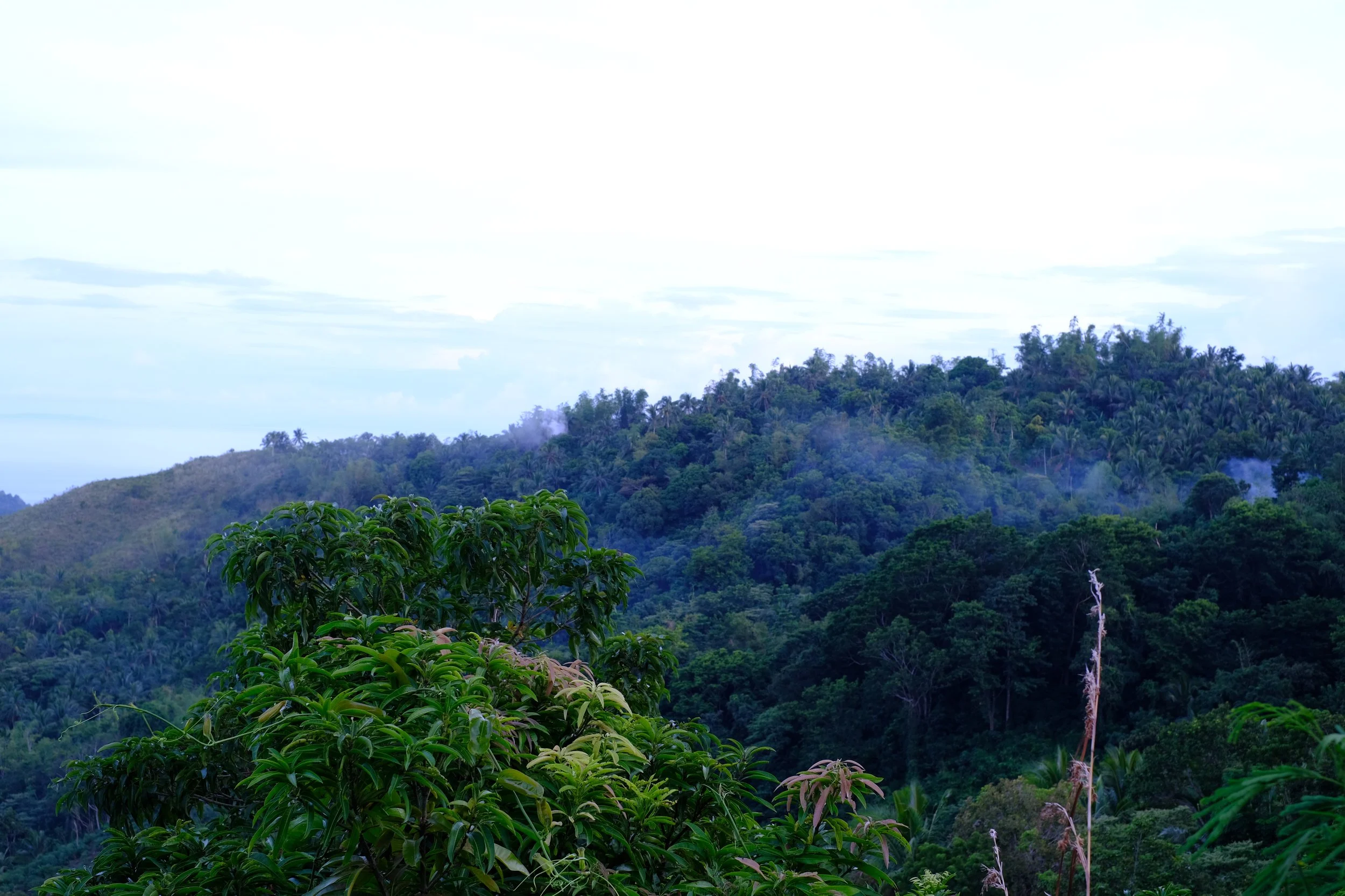 DSCF8974.JPG