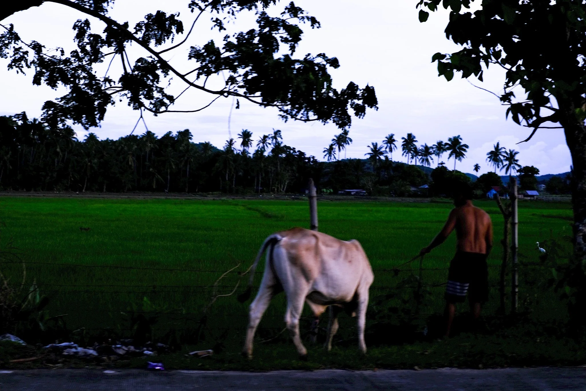 DSCF8961-2.jpg