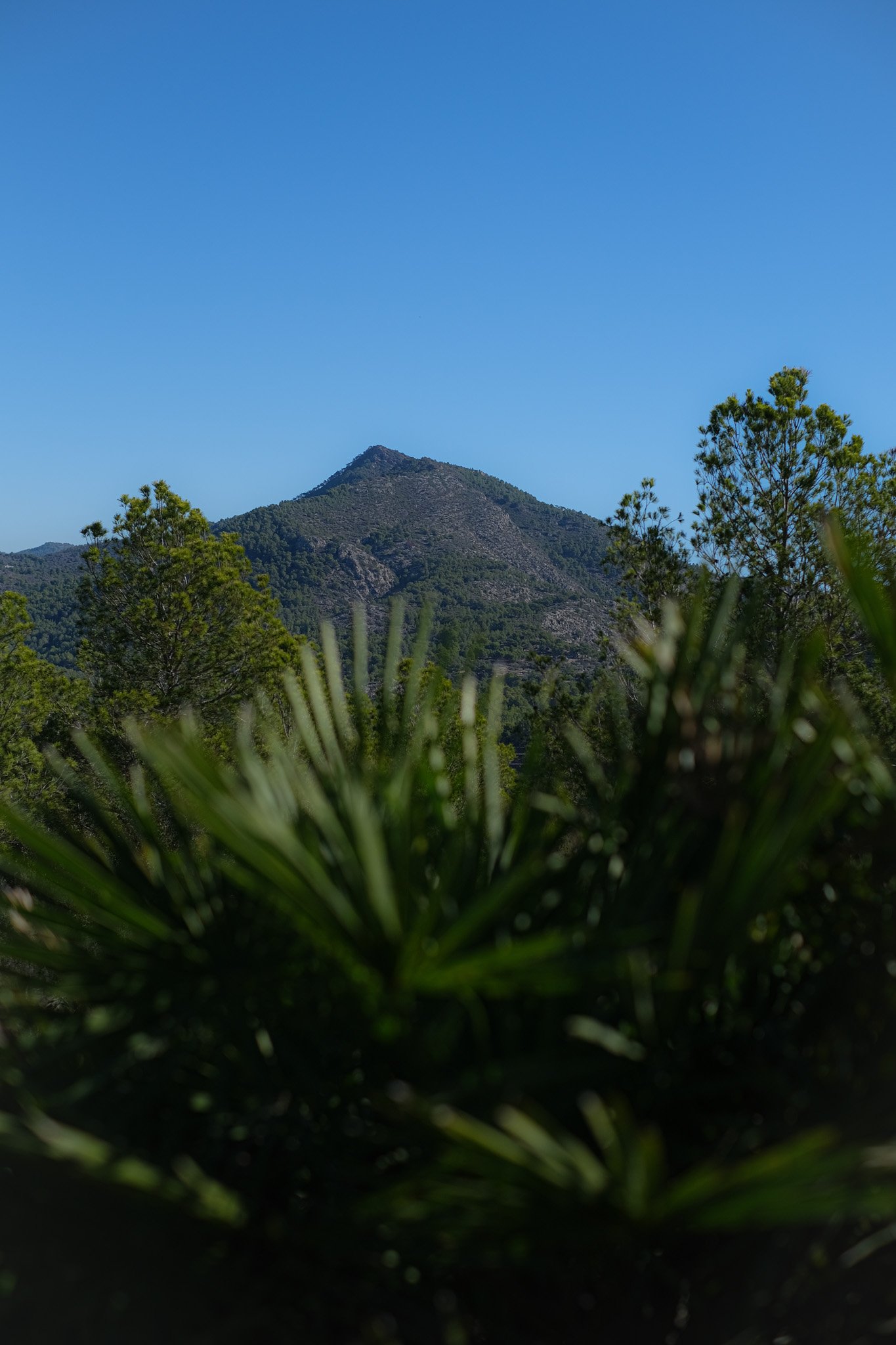 DSCF3681.jpg