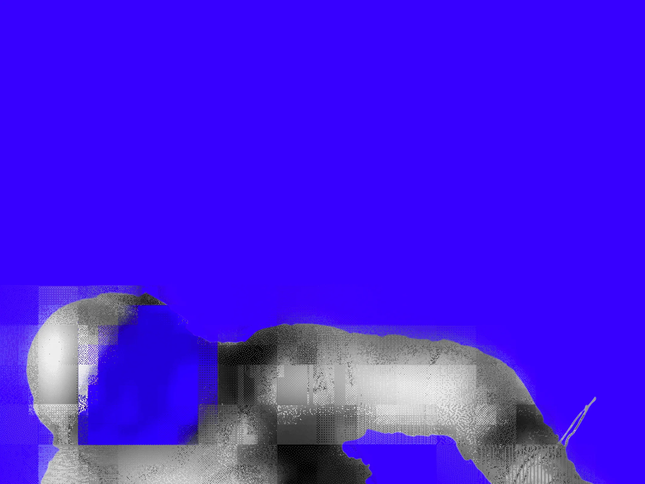 LE COSMONAUTE (détail) - 2019