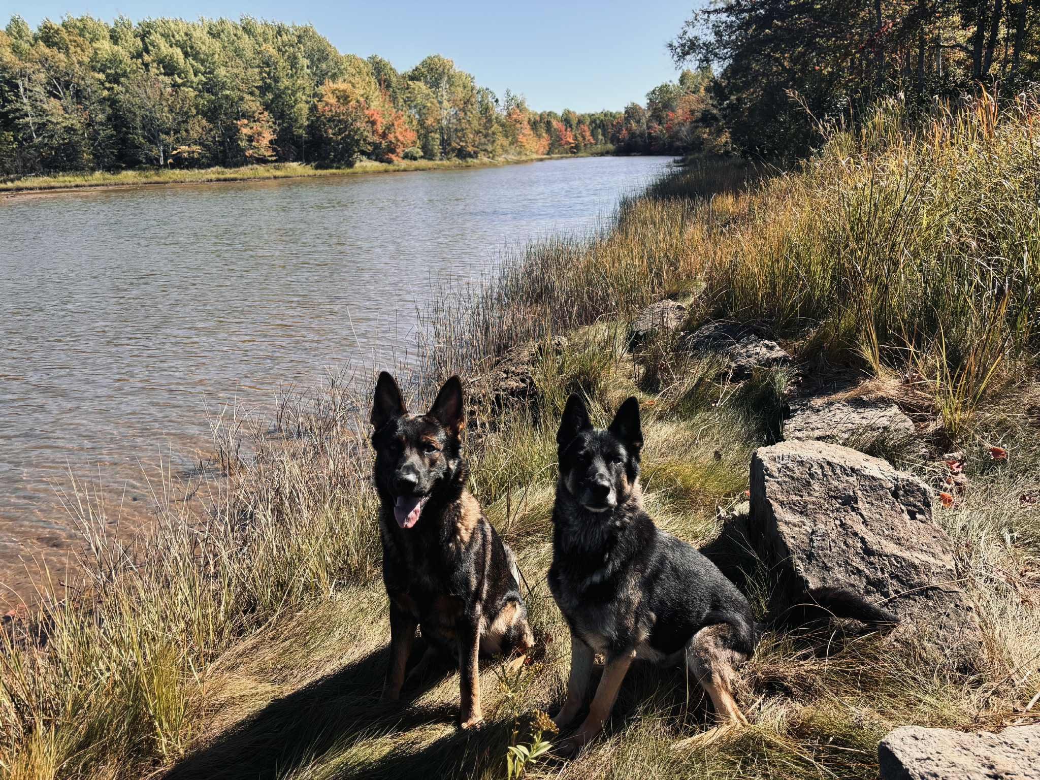 att.TMdRx3nhYxawTrqDKbchzEdpTH_T4DCZRie-1HEKTso (1).JPG