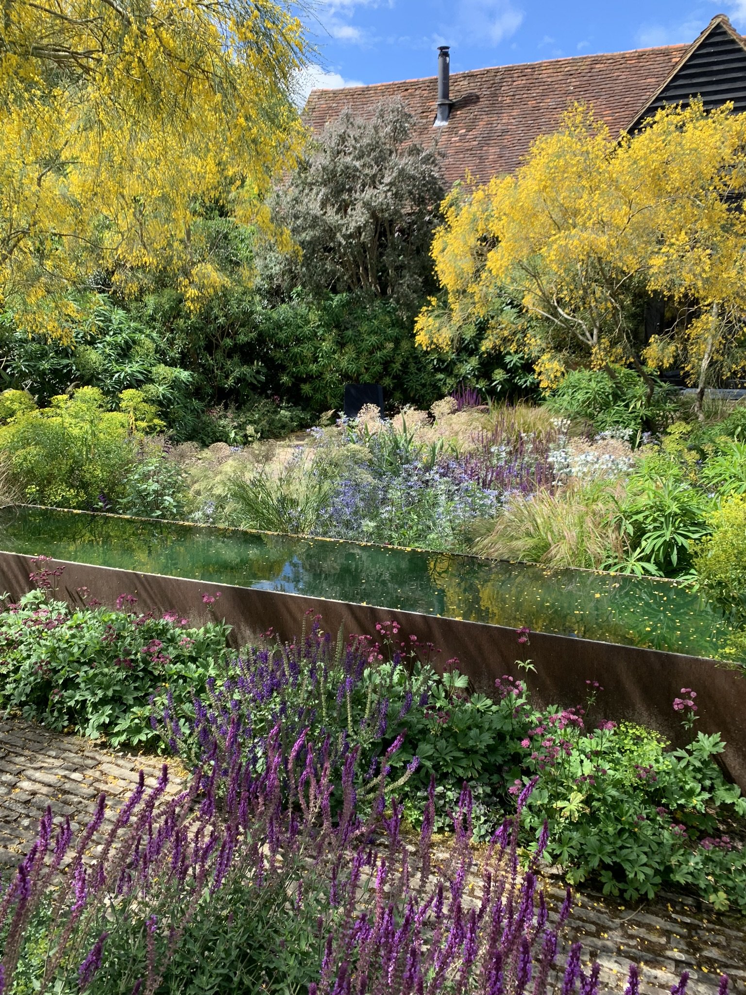 The Best Plants for a South Facing Garden — Meadowlark Journal