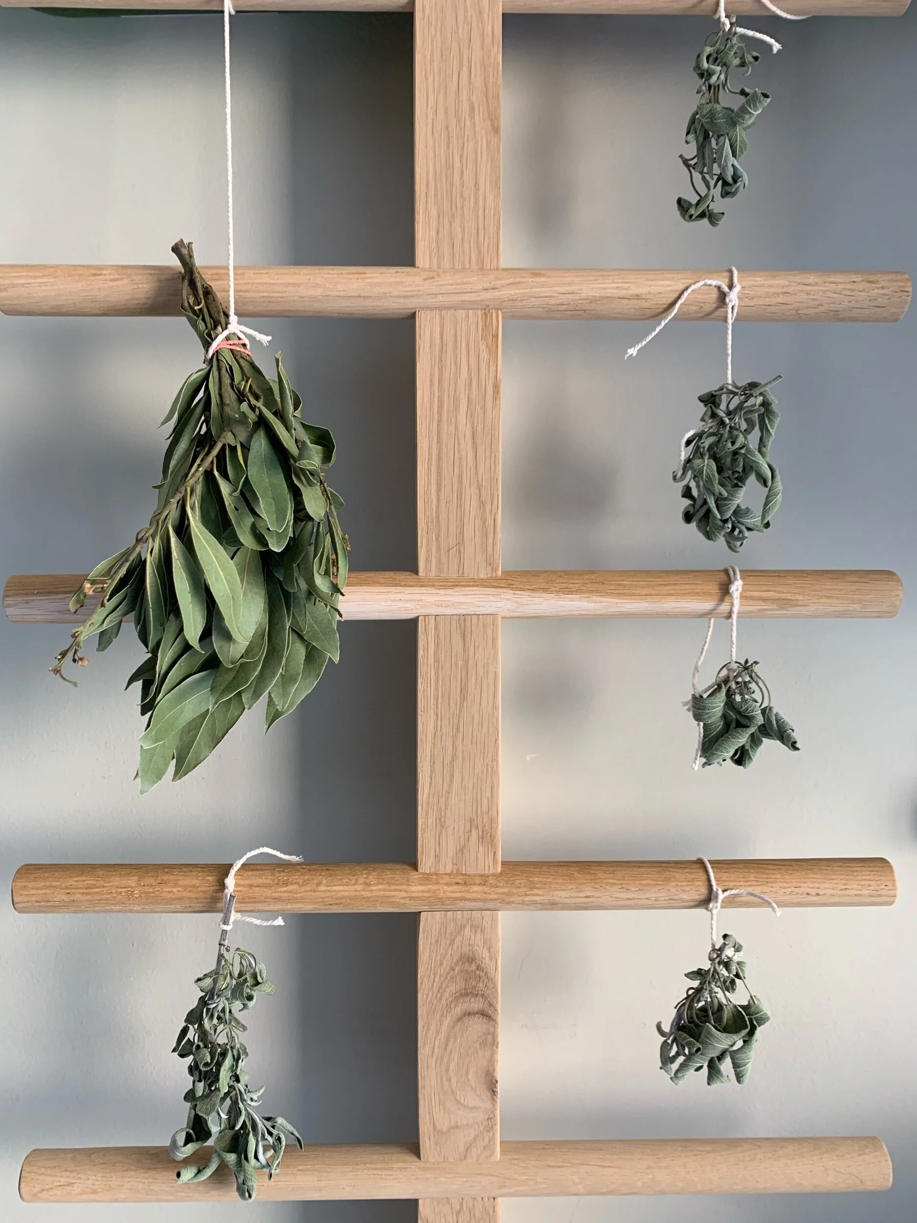 How to Store Dried Herbs Tips to Ensure they Last Longer — Meadowlark
