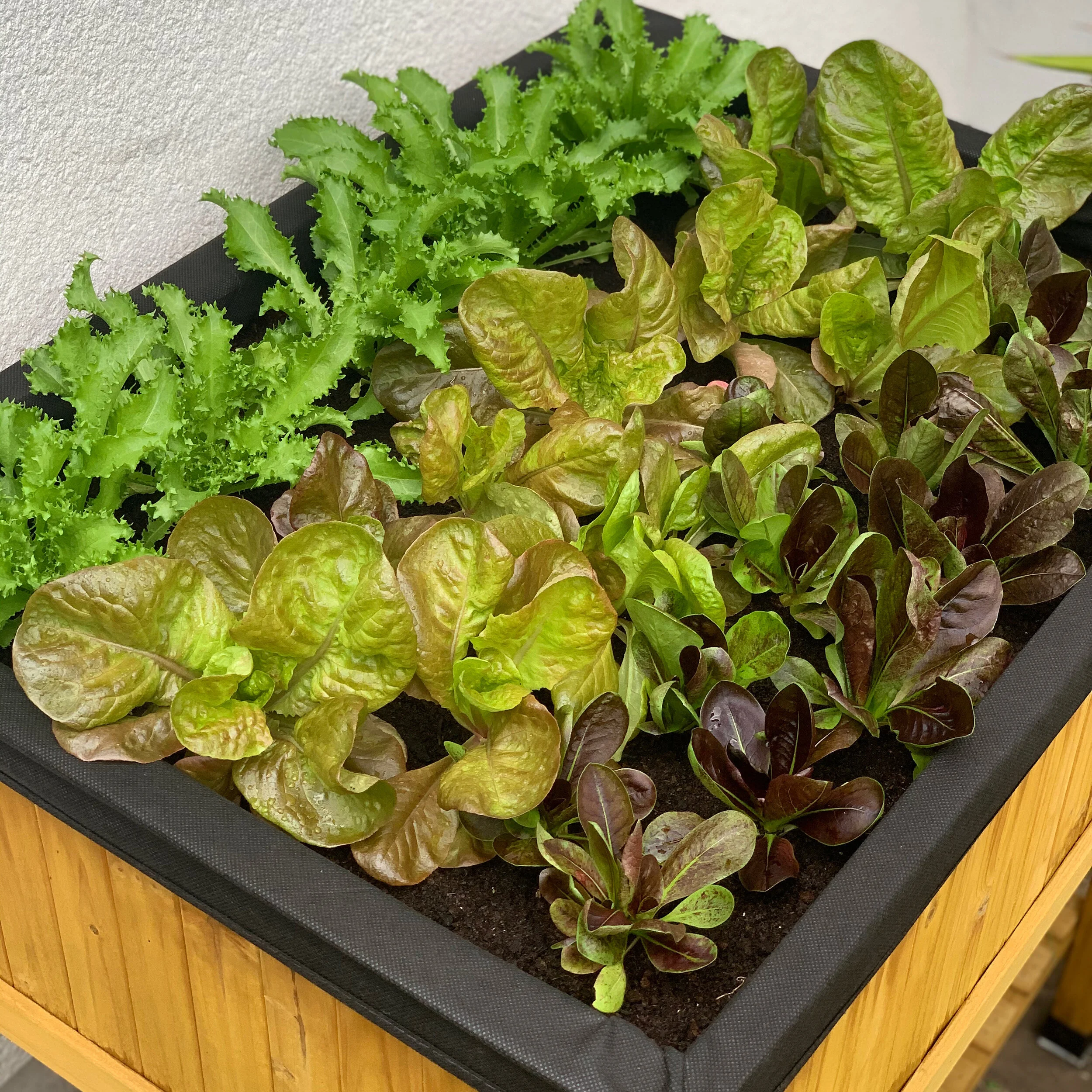 The Best Compost for Vegetable Gardens