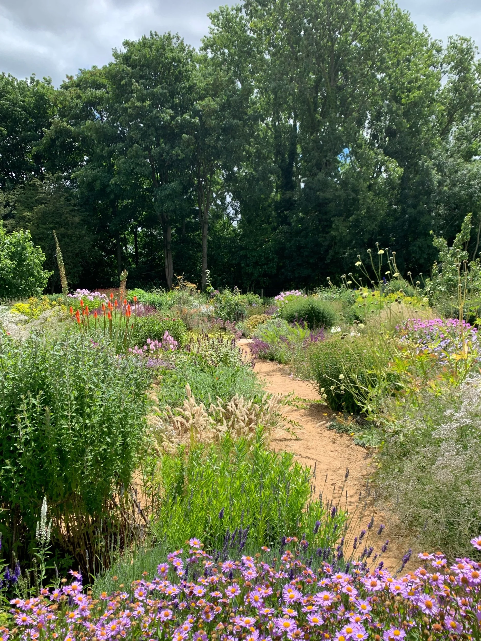 Tom Stuart-Smith's Garden in Hertfordshire