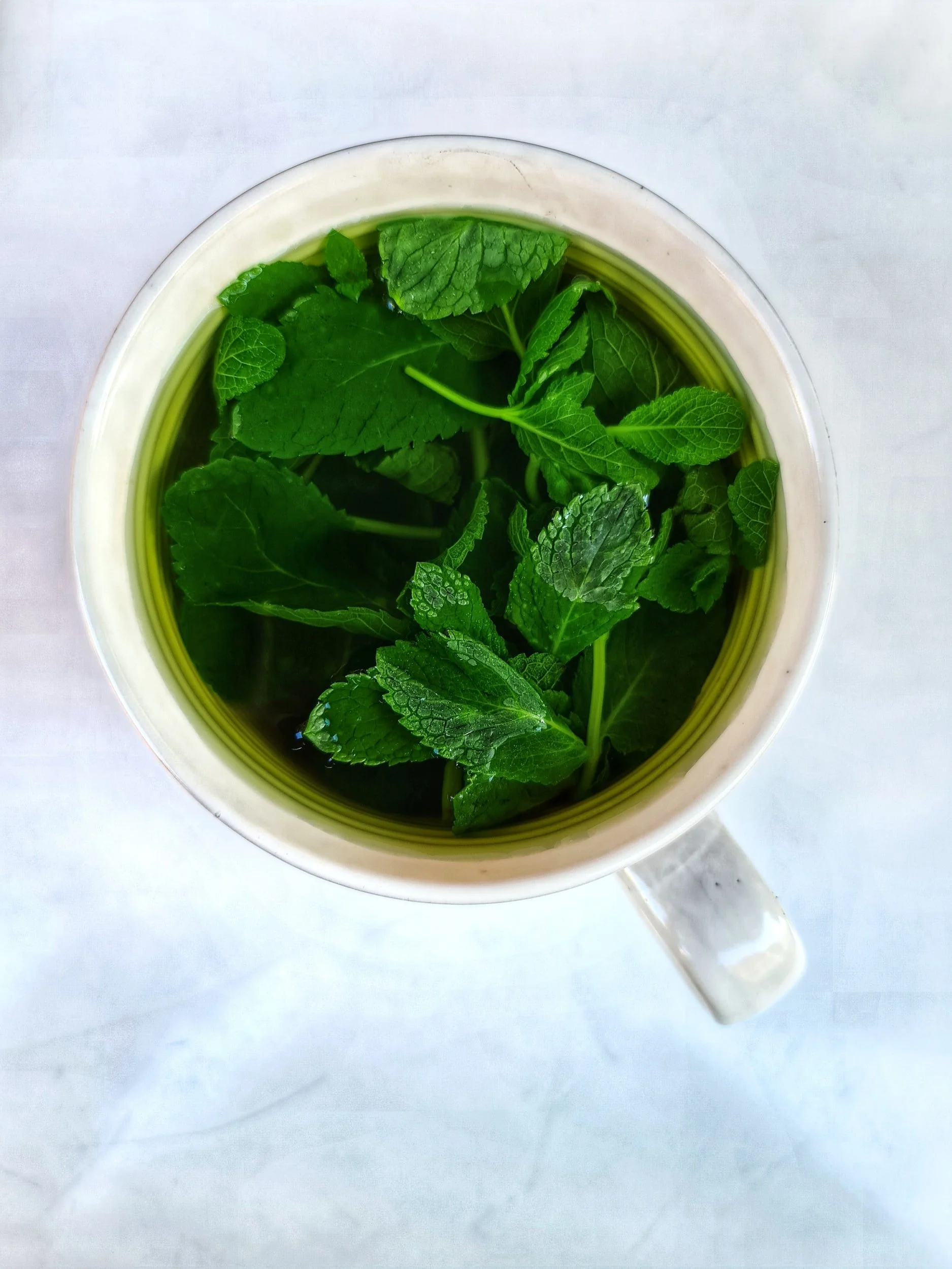 How Often to Water Mint — Meadowlark Journal
