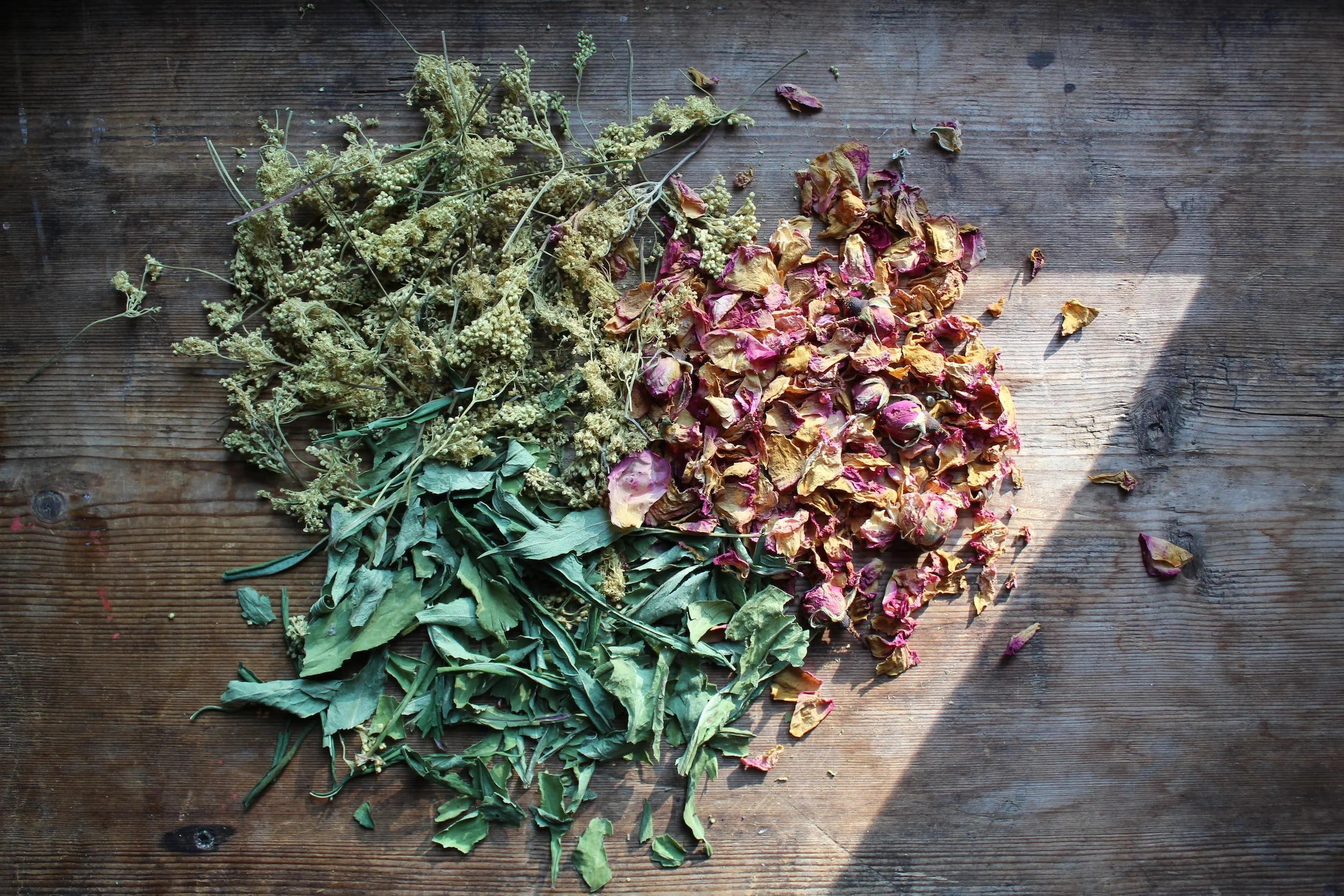 How to Store Dried Herbs: Tips to Ensure they Last Longer