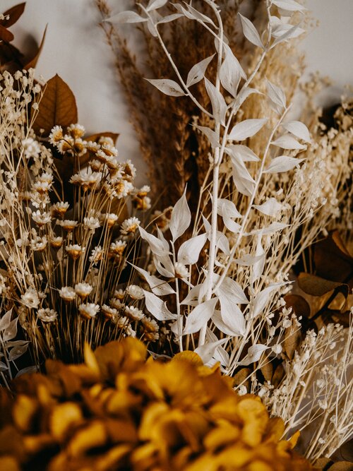 Stylish natural dried flowers in yellow