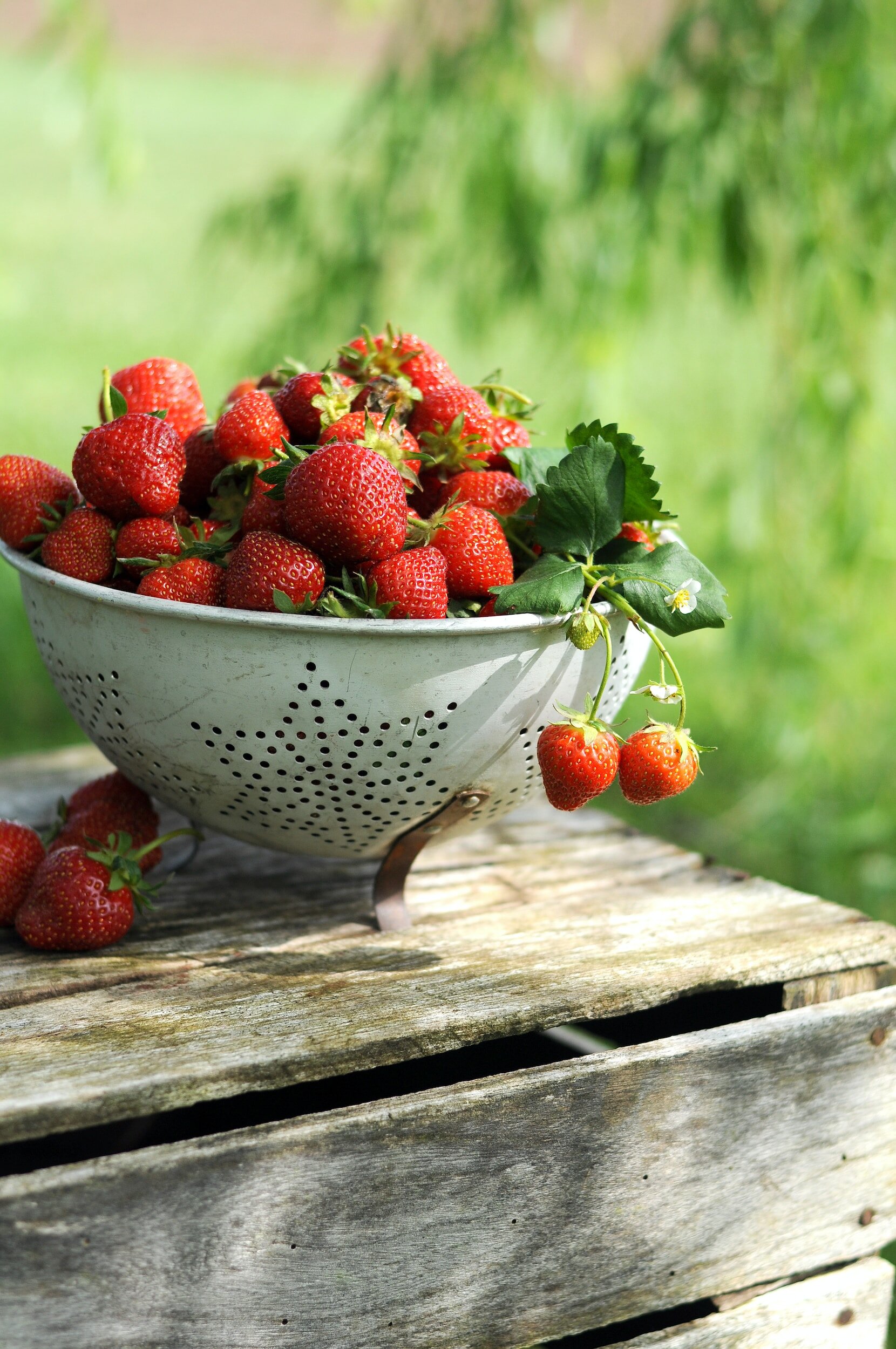 How To Grow Strawberries In Your Backyard - Simple Secrets To Success!