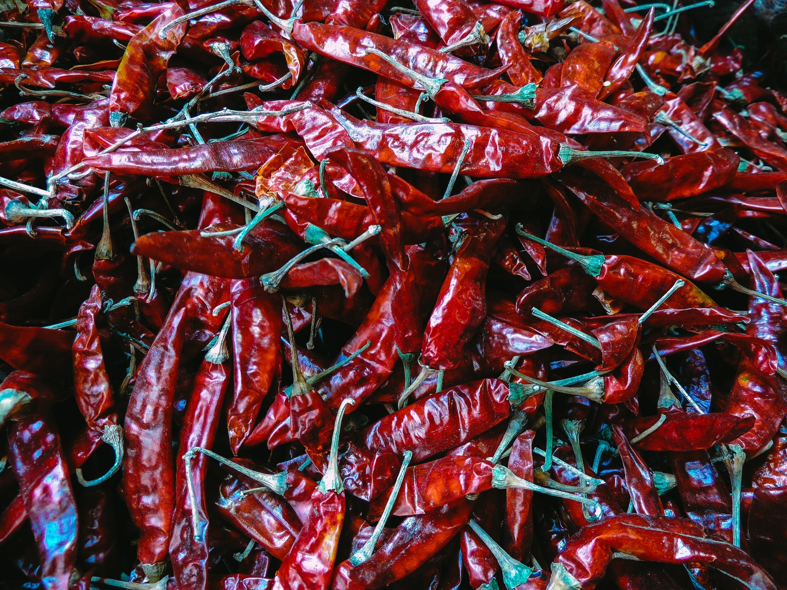 The Art of Preserving Heat: How to Dry Chillies Perfectly — Meadowlark  Journal