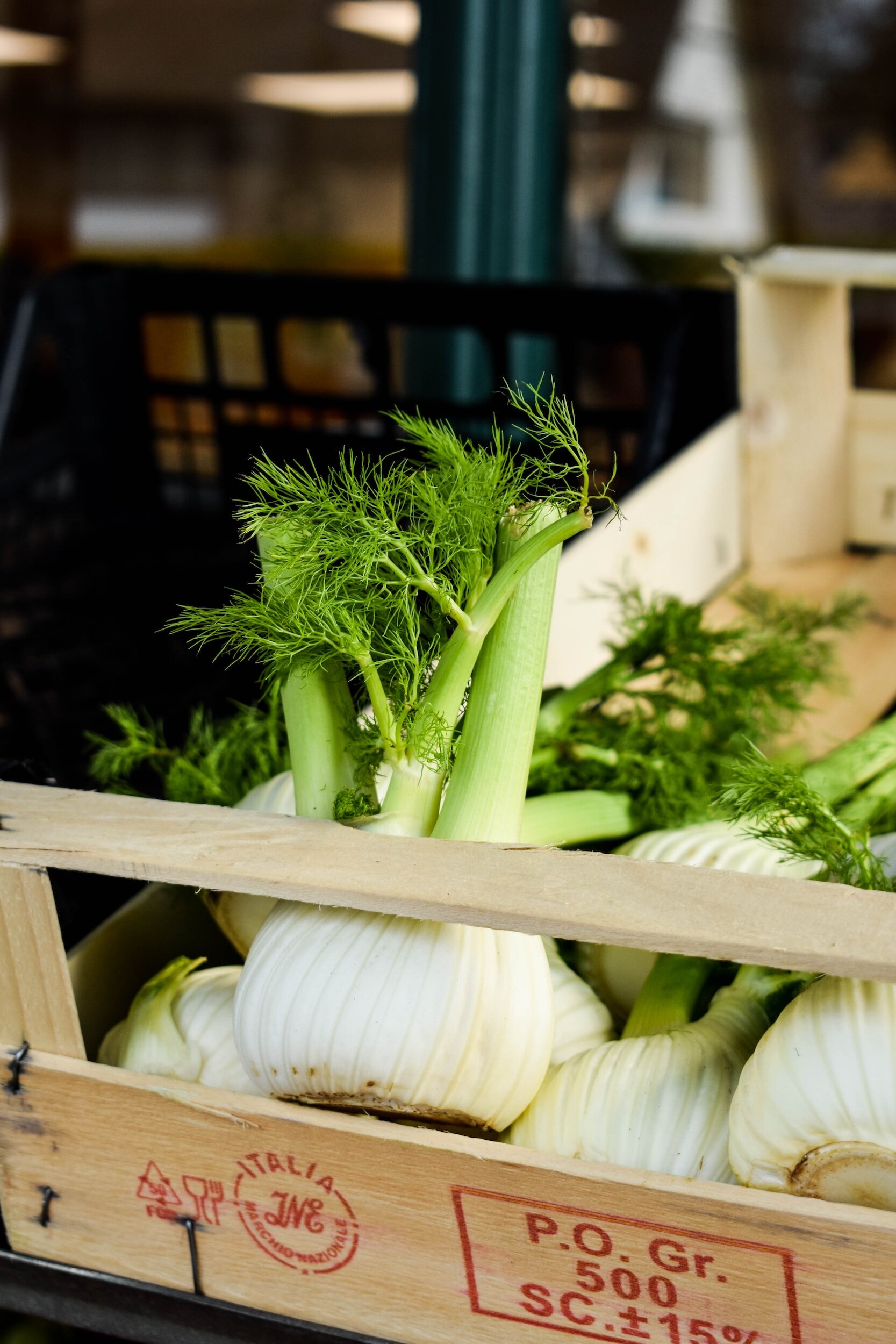 fennel that was grown with companion plants