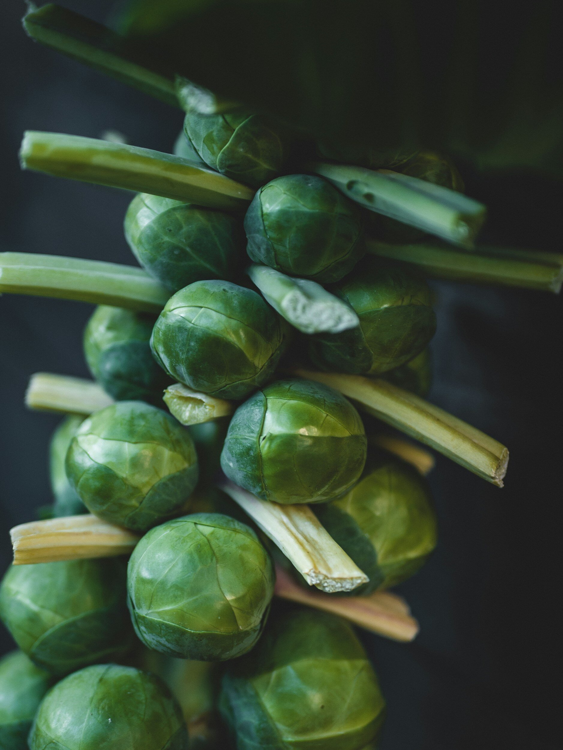 Companion Plants for Healthy Brussels Sprouts