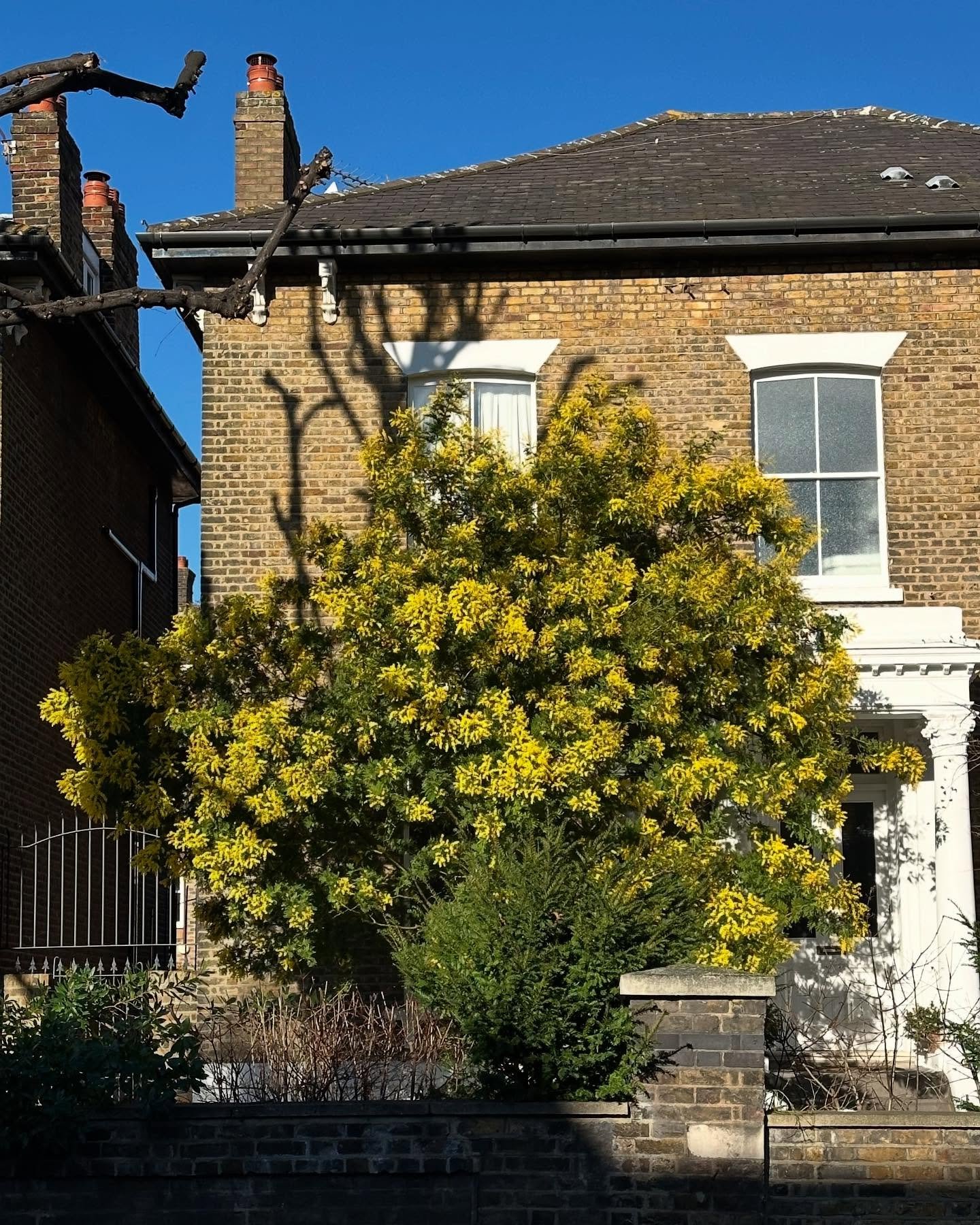 This month&rsquo;s newsletter just went out the door with full list of recommendations, playlist and round-up of blog posts! If you&rsquo;d like to be on the list just follow the link in bio. 
February in a nutshell:
1. Blue skies and acacia trees 💛