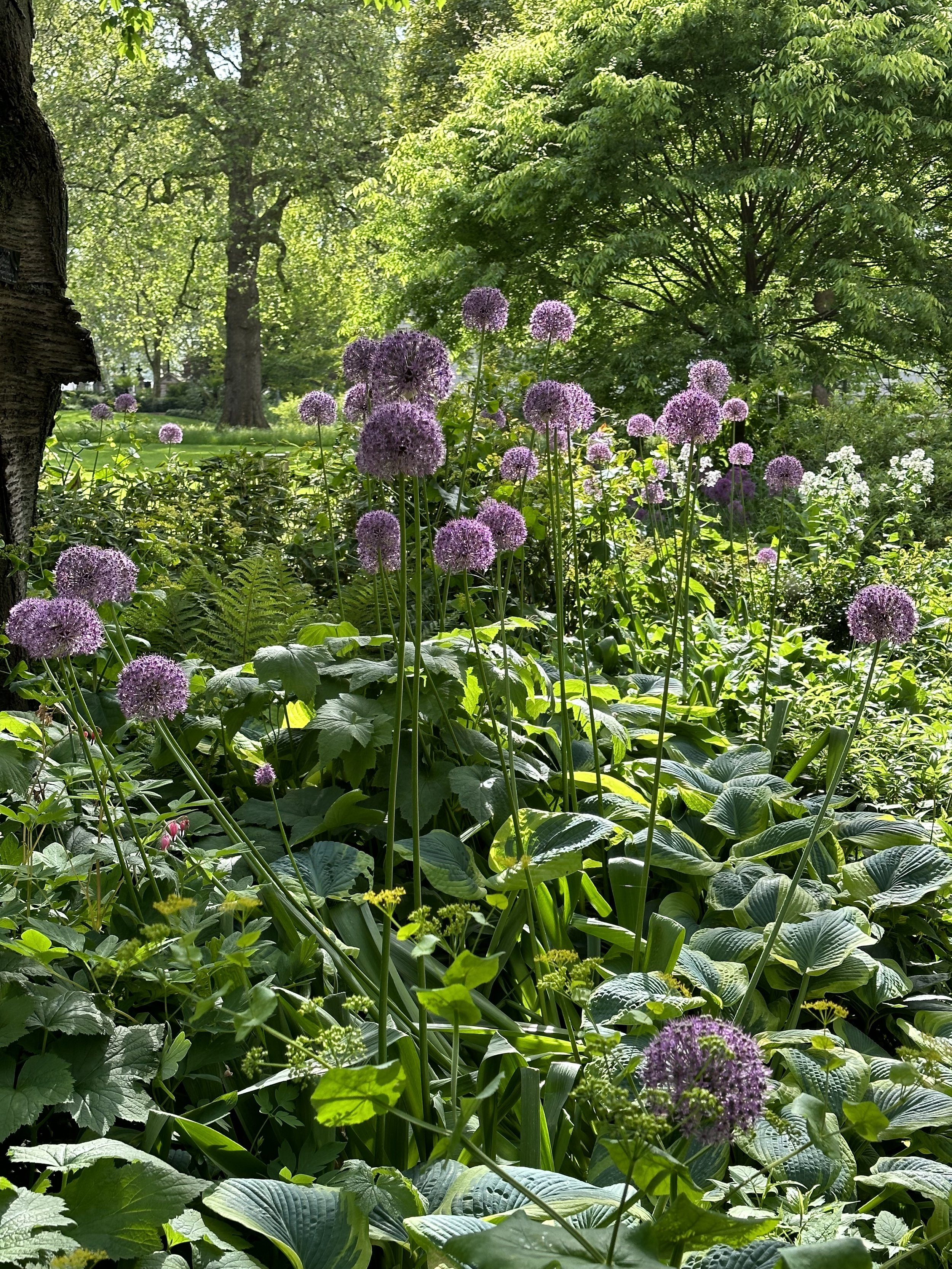 How to Successfully Group Garden Pots for Visual Impact