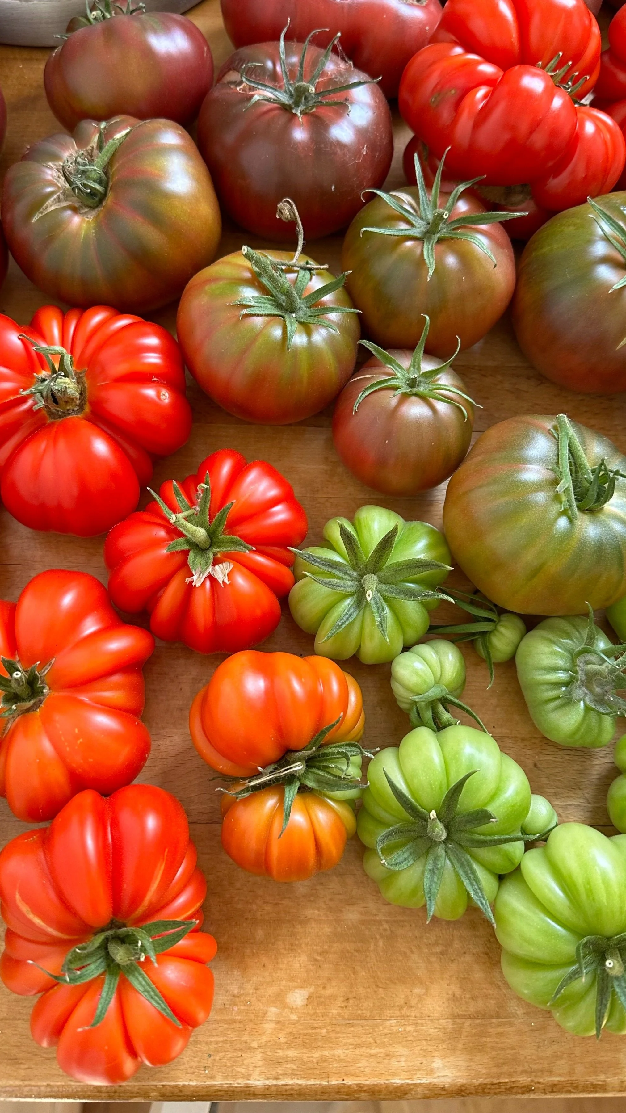 The Best Companion Plants&nbsp;for Tomatoes